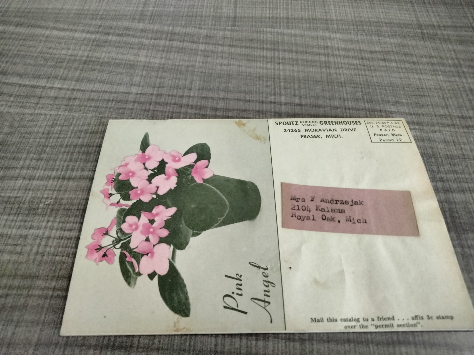 Vtg. 1939 Empire State Nursery Co. Fruits & Flowers Booklet + 2 African Violets