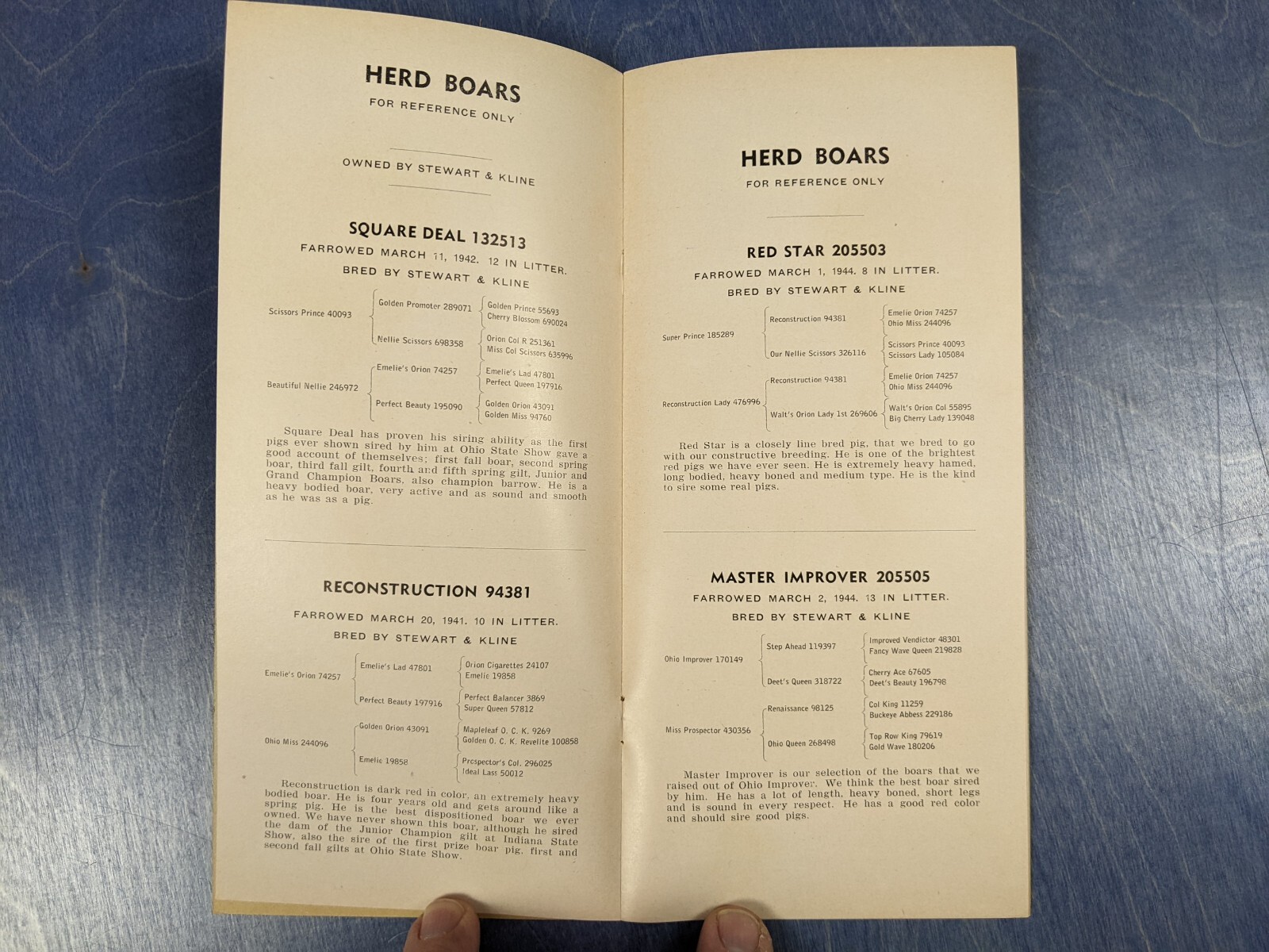 1945 Duroc Bred Gilt Hog Sale Auction Brochure – Brumbaugh Implement Eaton Ohio