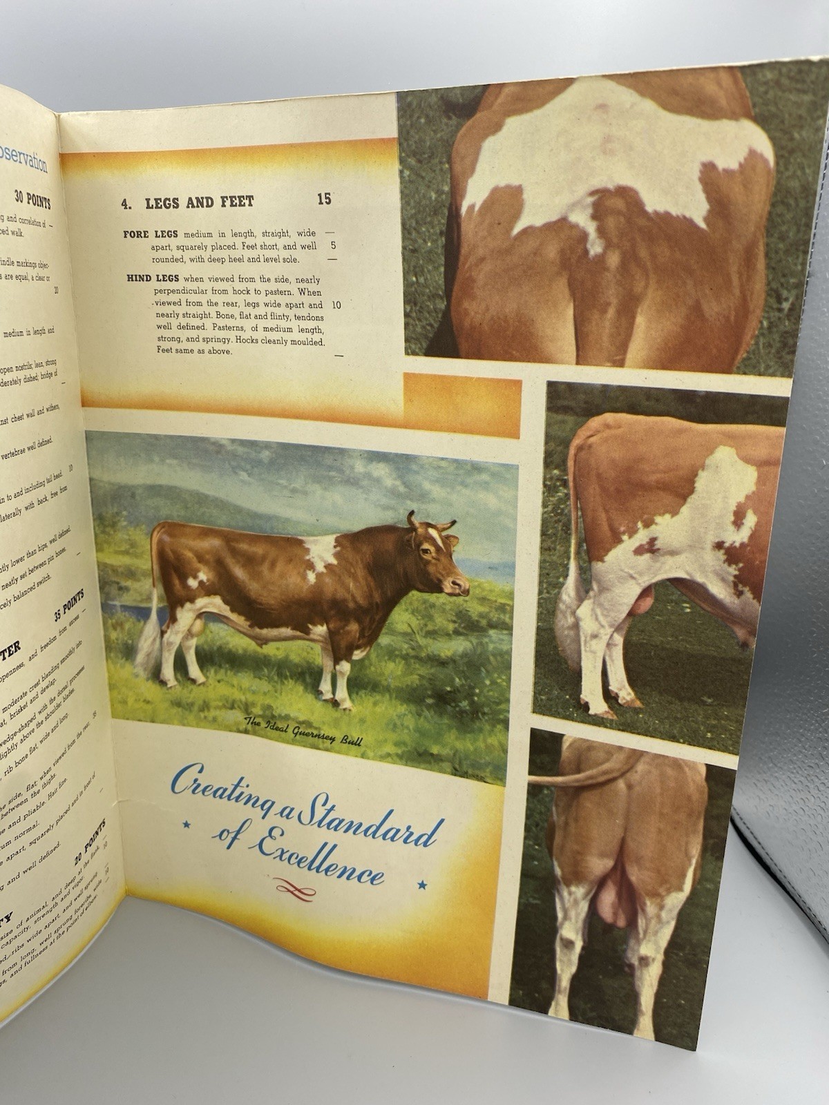 American Guernsey Cattle Club Booklet « Creating a Standard of Excellence »