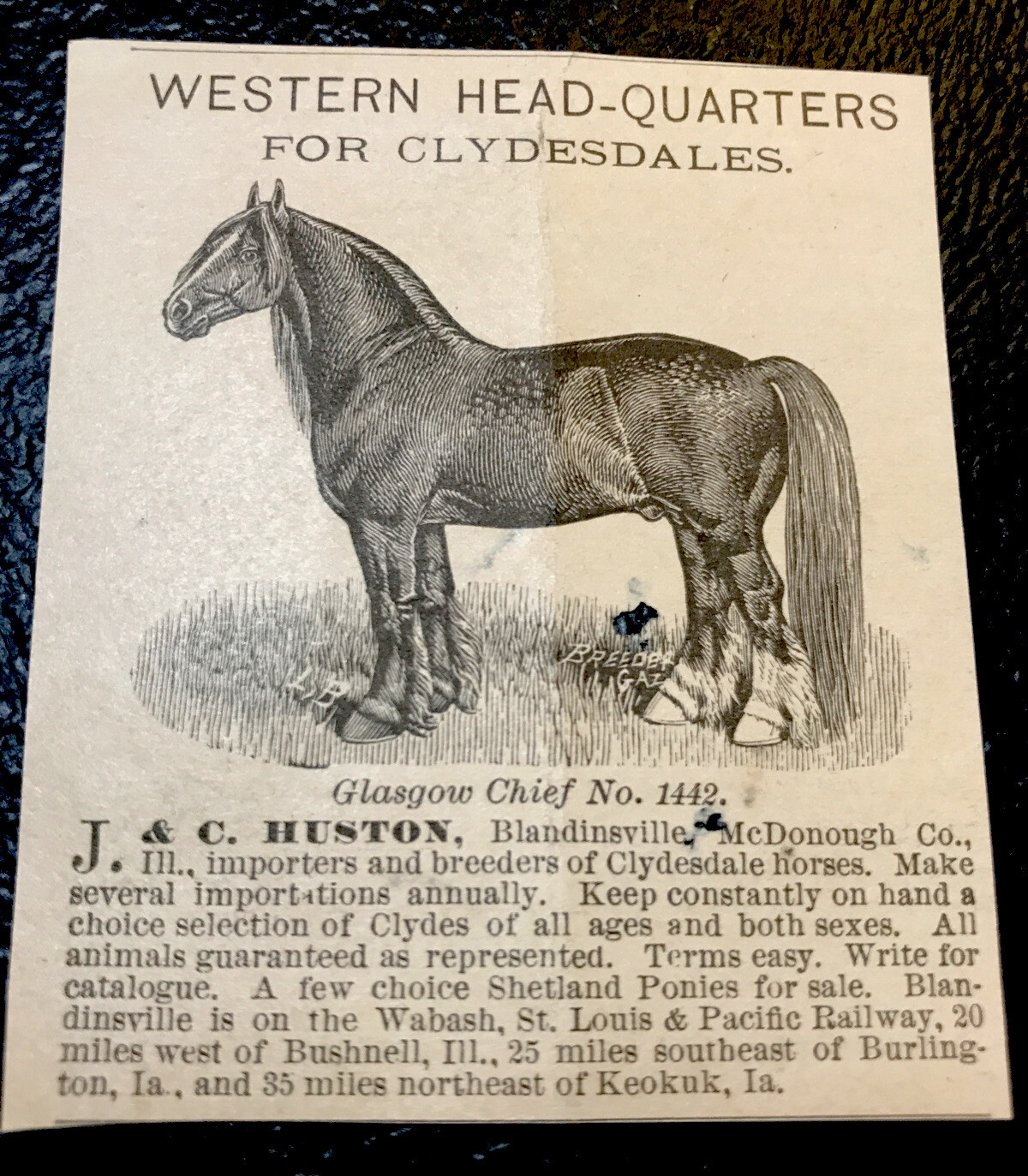 1883 J. & C. Huston Horse Advertising – Blandinsville – Illinois – McDonough Co.