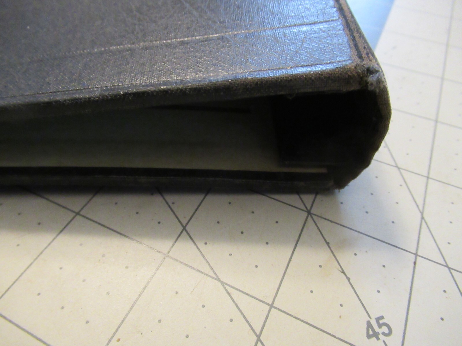 Empty Delaval Binder Folder