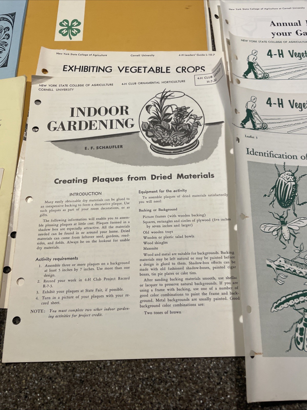Large Lot Vintage 4H And Cornell Cooperative Extension Gardening Brochures.