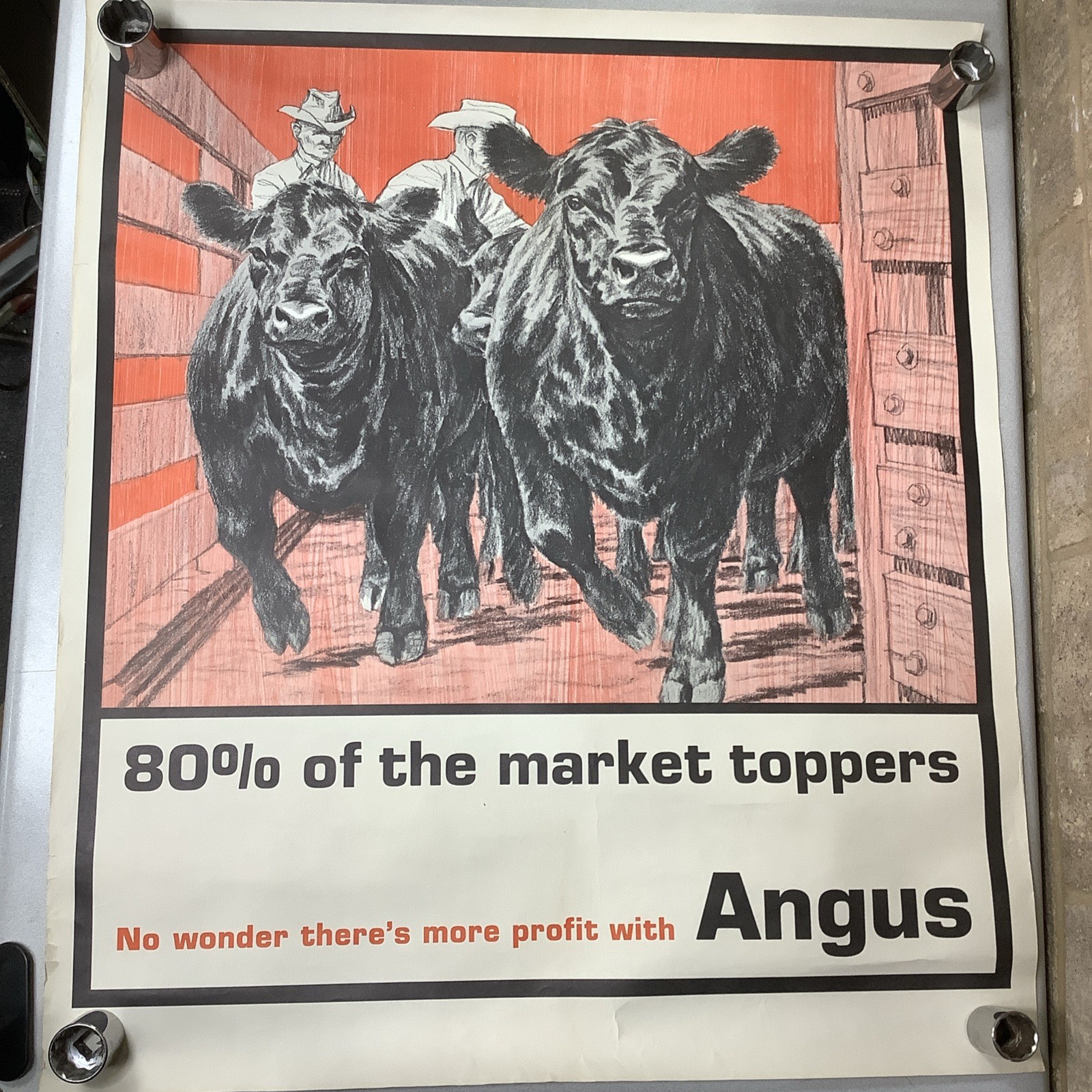 Vintage Angus Cattle Advertising Poster 1950’s 60’s ? Nice Graphics