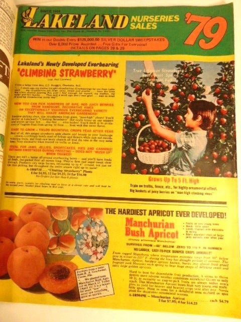 Vintage 1979 Nursery Sales catalog; Lakeland Nursery Sales, Hanover, PA