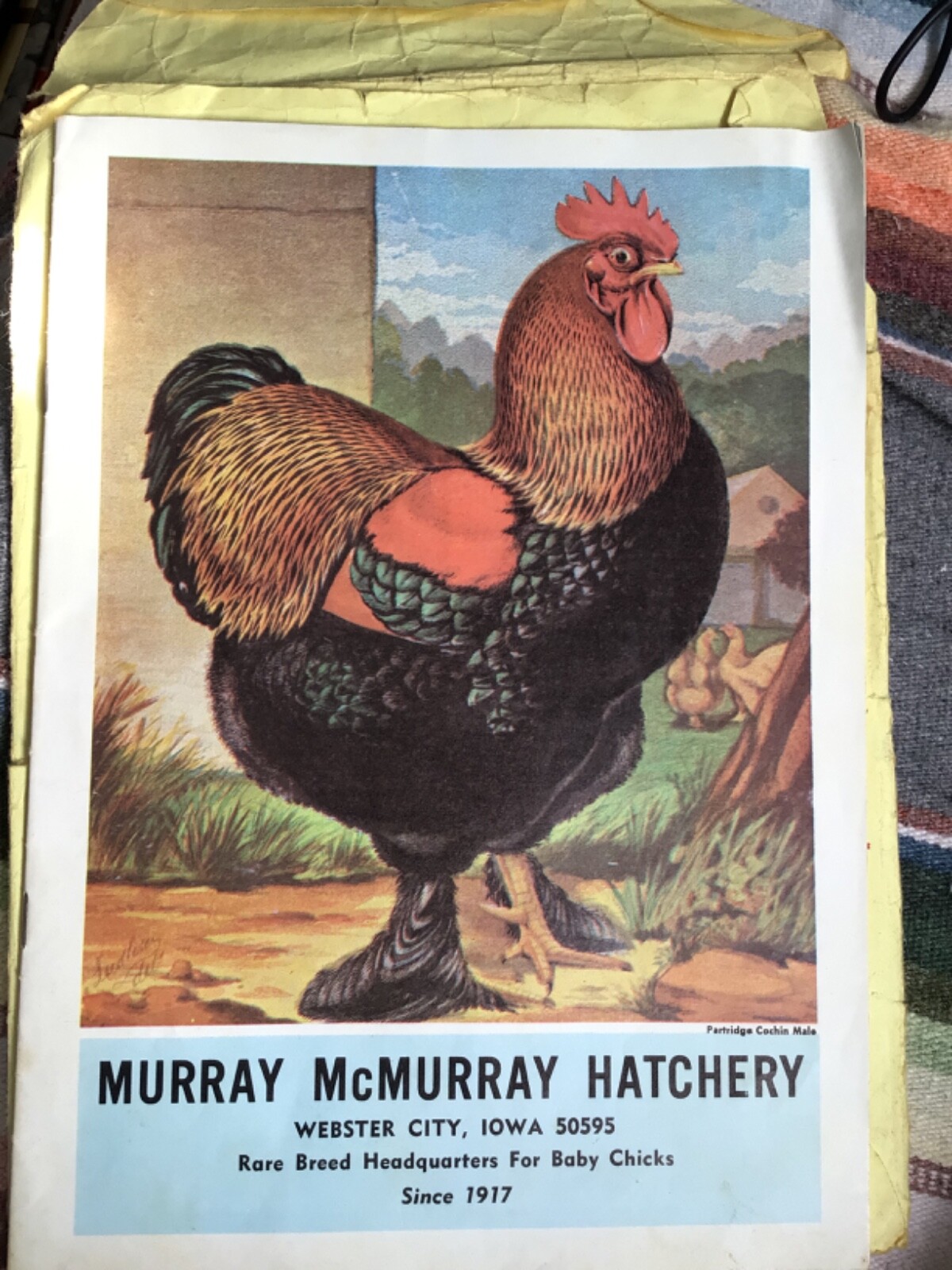 VTG 1970 RARE Chicks Color CATALOG/Guide~ »MURRAY McMURRAY HATCHERY »~Iowa~(J)