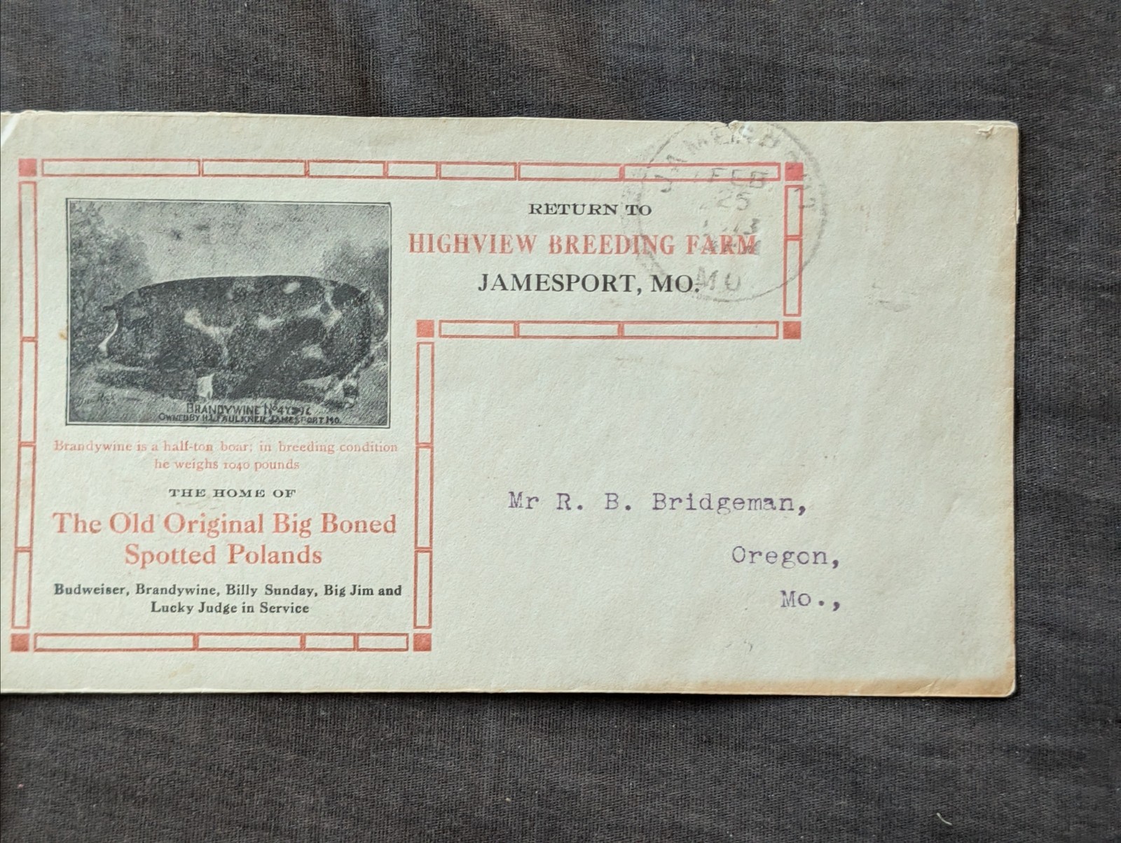 Antique Jamesport Poland hog farm advertising envelope