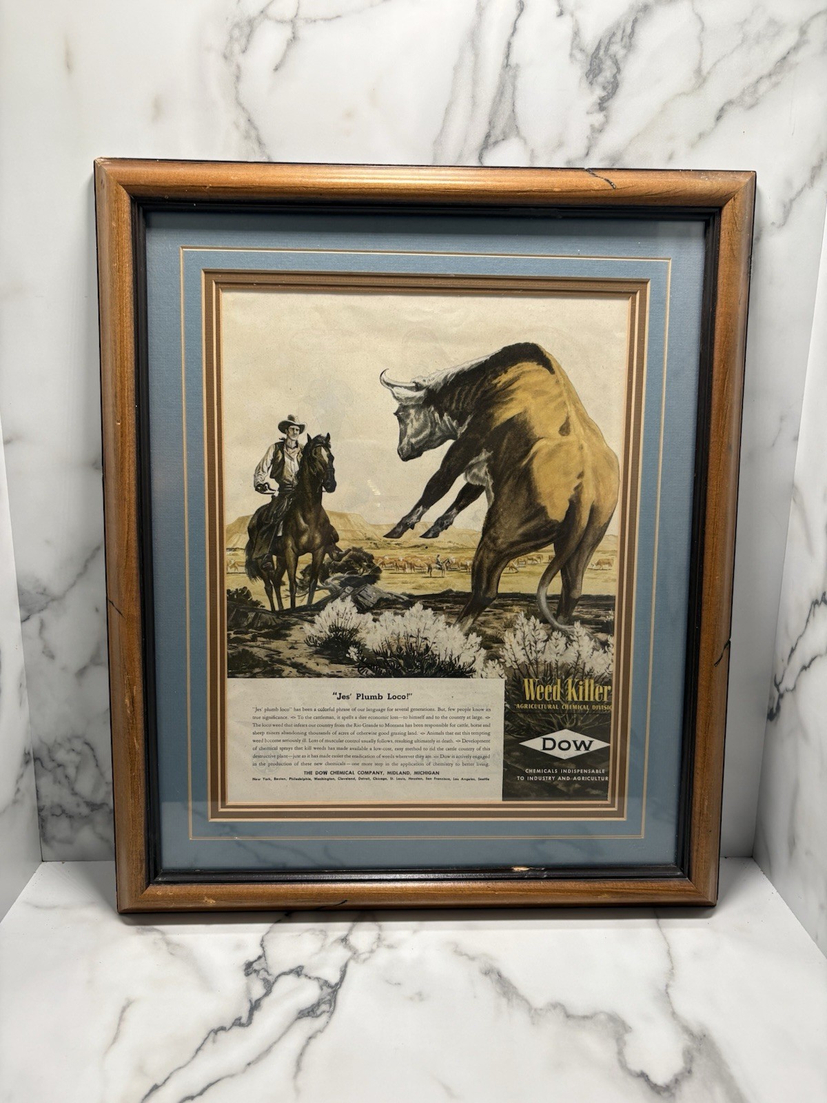 1946 Dow Chemicals Agriculture Division Weed Killer Midland Steer VTG Print Ad