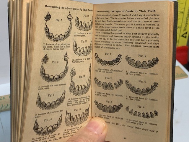1939 DELAVAL DIARY & FARMERS POCKET HANDBOOK USEFUL INFO 148 PAGES 4.75&rsquo;X2.75”.