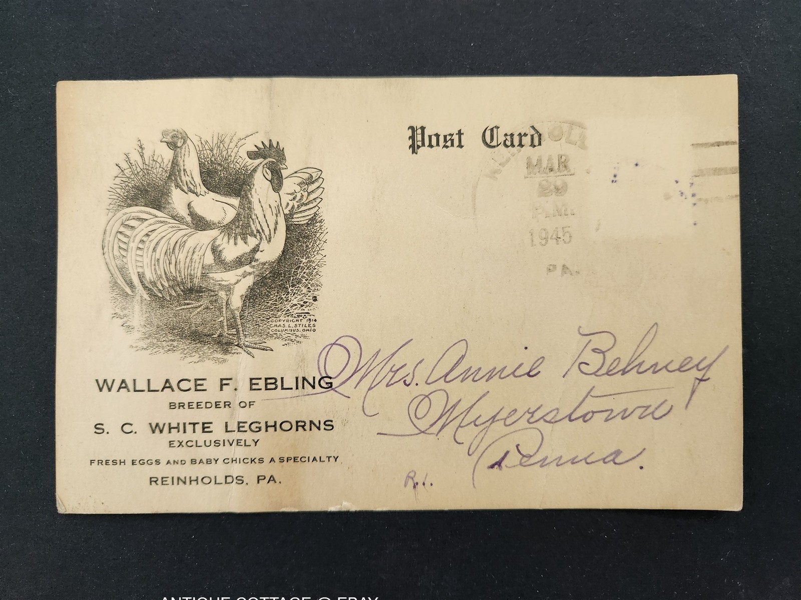 1945 vintage WALLACE F EBLING reinholds pa LEGHORNS CHICKEN POSTCARD ad