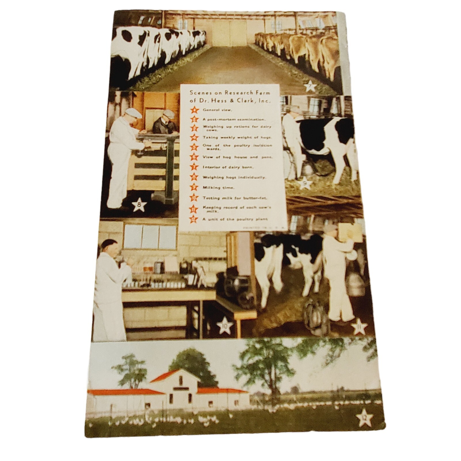 1931 Dr. Hess Clark Products Catalog Ashland Ohio 24 Page Book Animal Husbandry