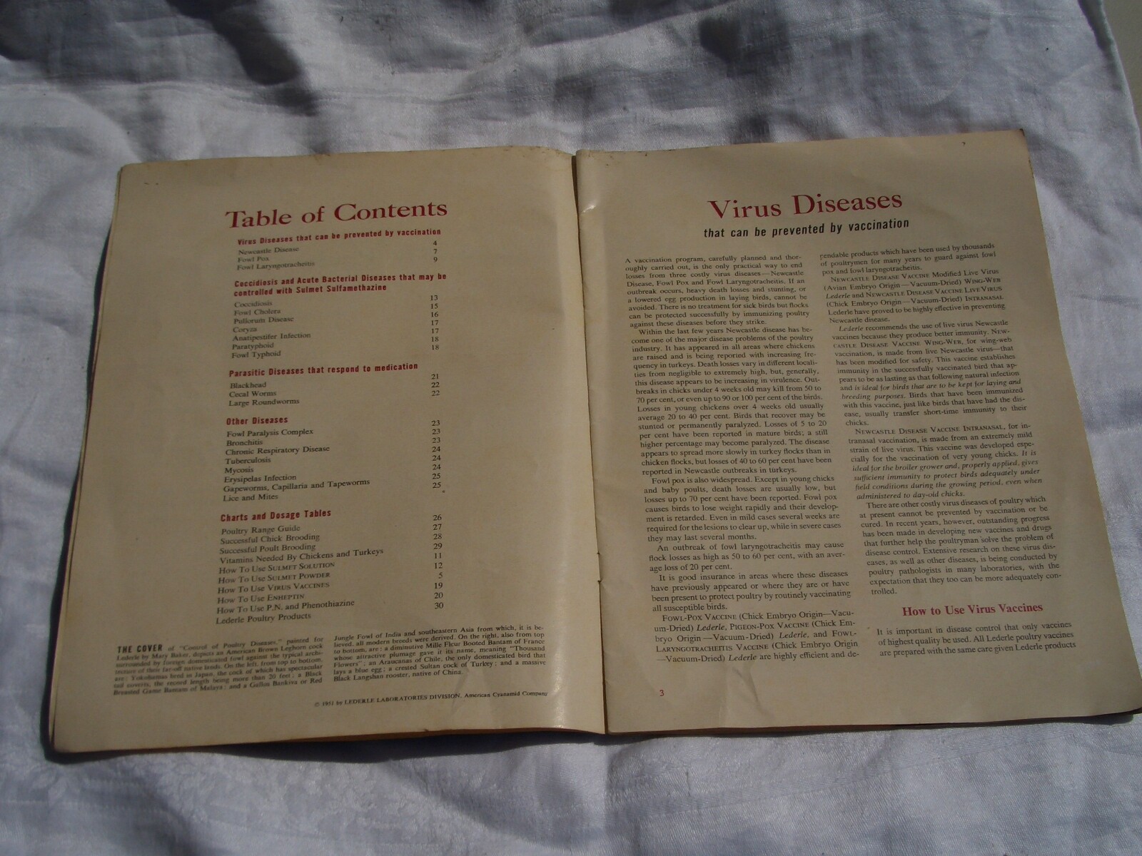 1951 Control of Poultry Diseases *Lederle Lab Chicken Treatment *Ships Free 2 US