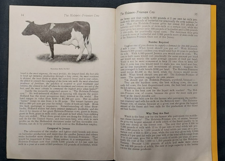 1913 Bulletin Holstein Friesian Association America Brattleboro Vermont Cow
