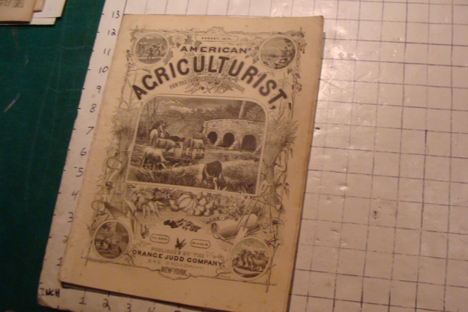 Vintage American Agriculturist 1876 august: TIGER, big puzzle, CRANDALL ADS