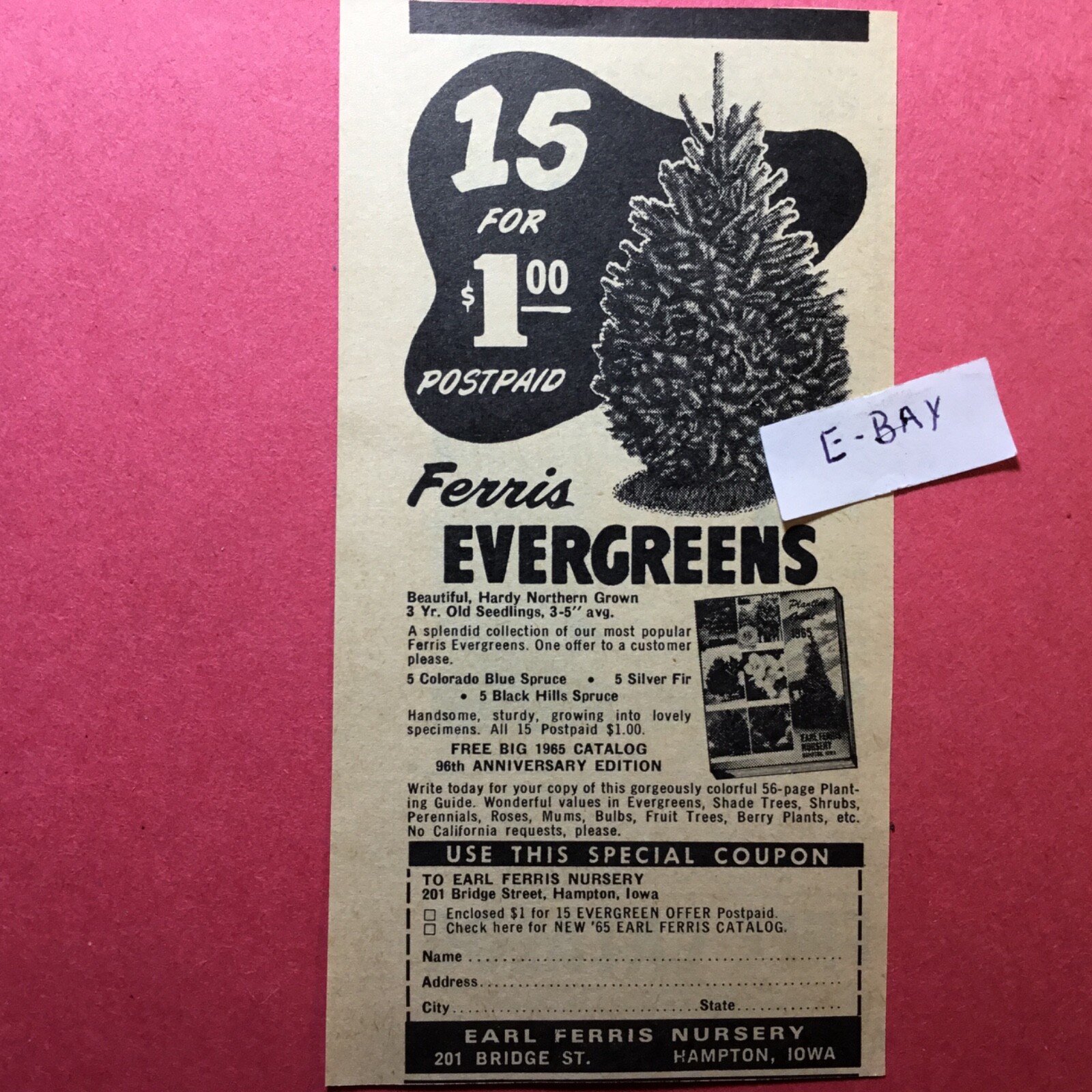1965 Ad. Earl Ferris Nursery. Hampton, Iowa.