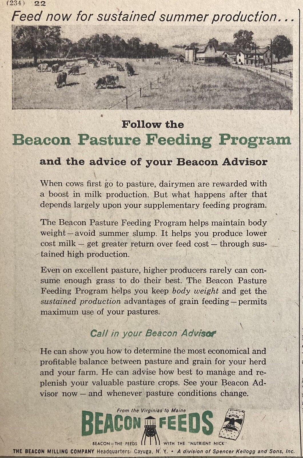 1959 AD.(XH62)~THE BEACON MILLING CO. CAYUGA, NY. BEACON PASTURE FEEDING PROGRAM