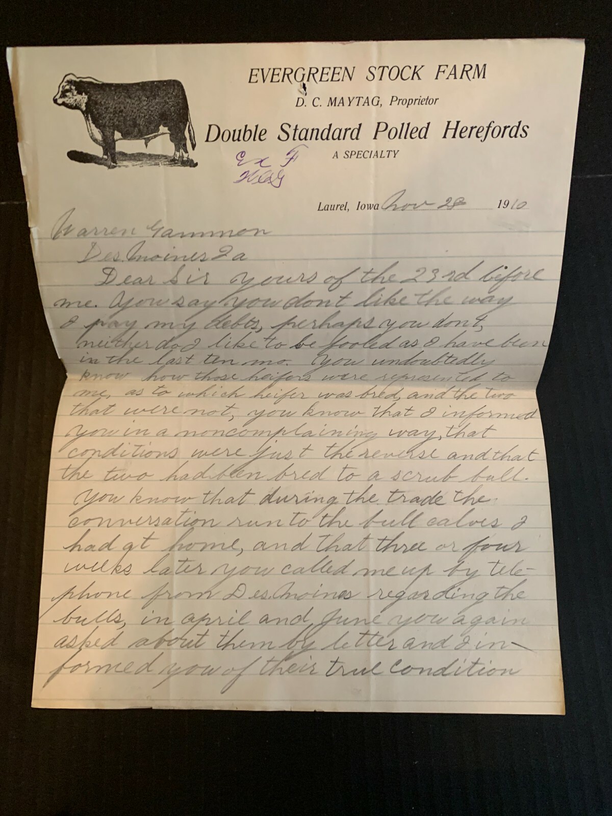 November 28 1910 Evergreen Stock Farms Polled Herefords Letterhead Laurel Iowa