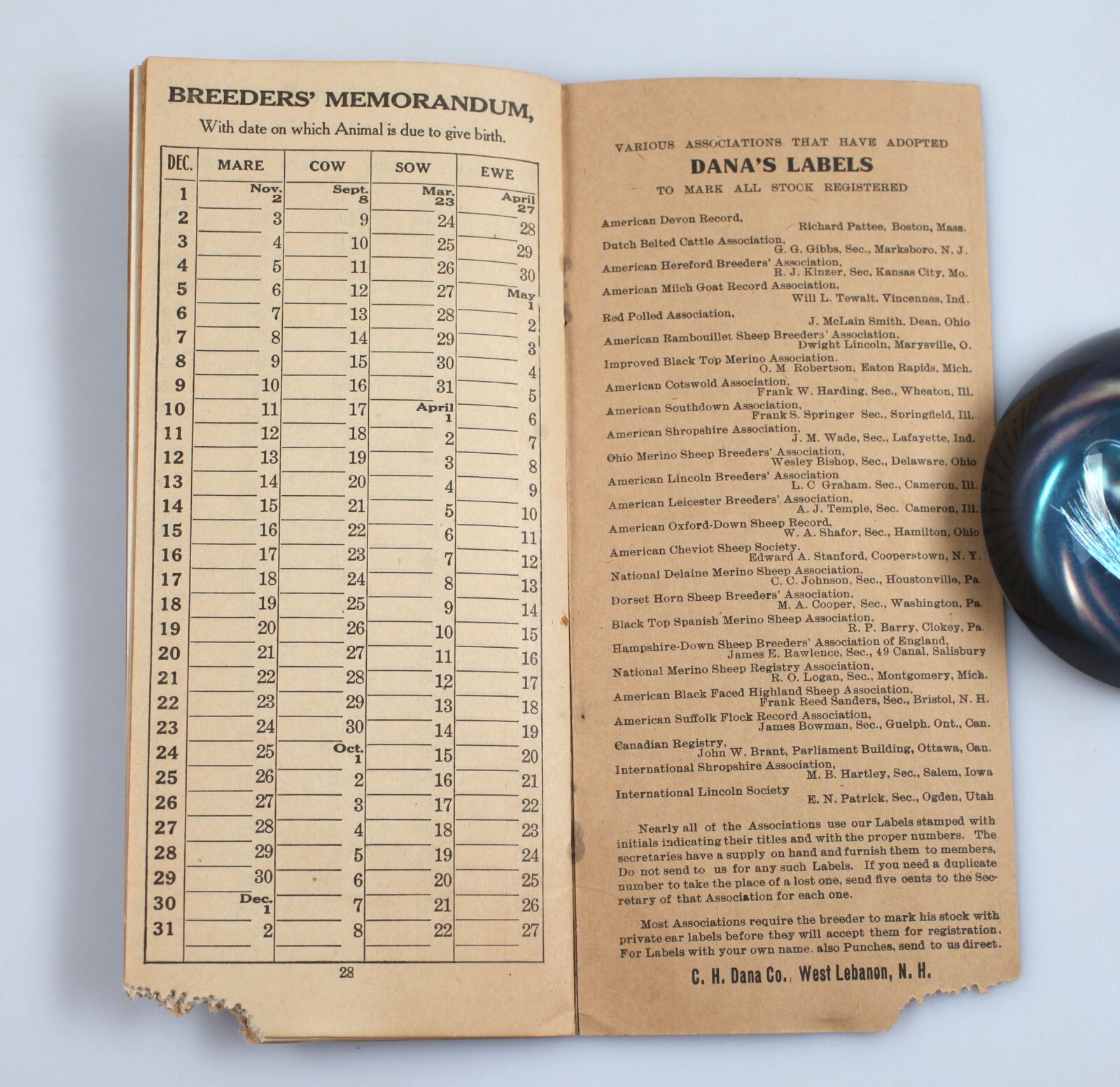 Vintage C.H. Dana Breeders Memorandum Catalog Stock Supplies Cattle Tags c. 1900