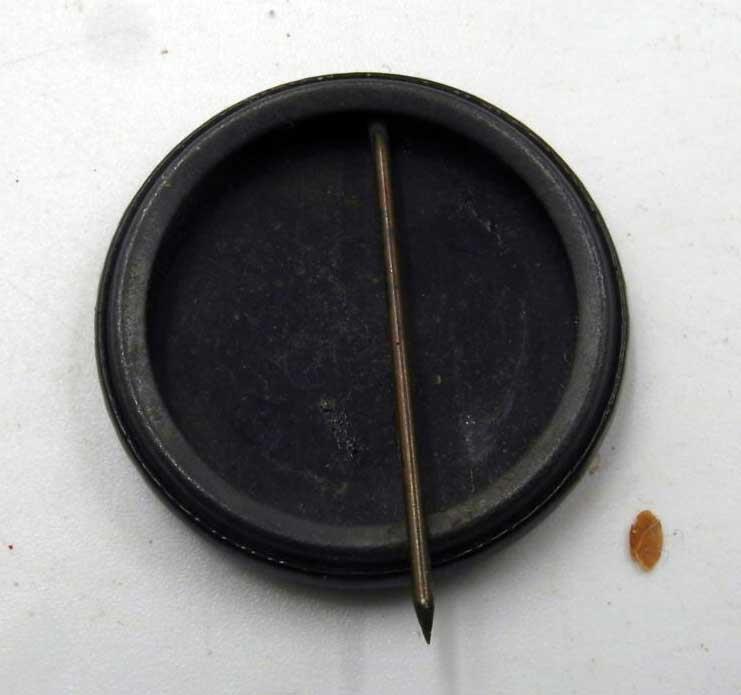 WW1 27TH DIVISION « WELCOME HOME » CELLULOID PIN