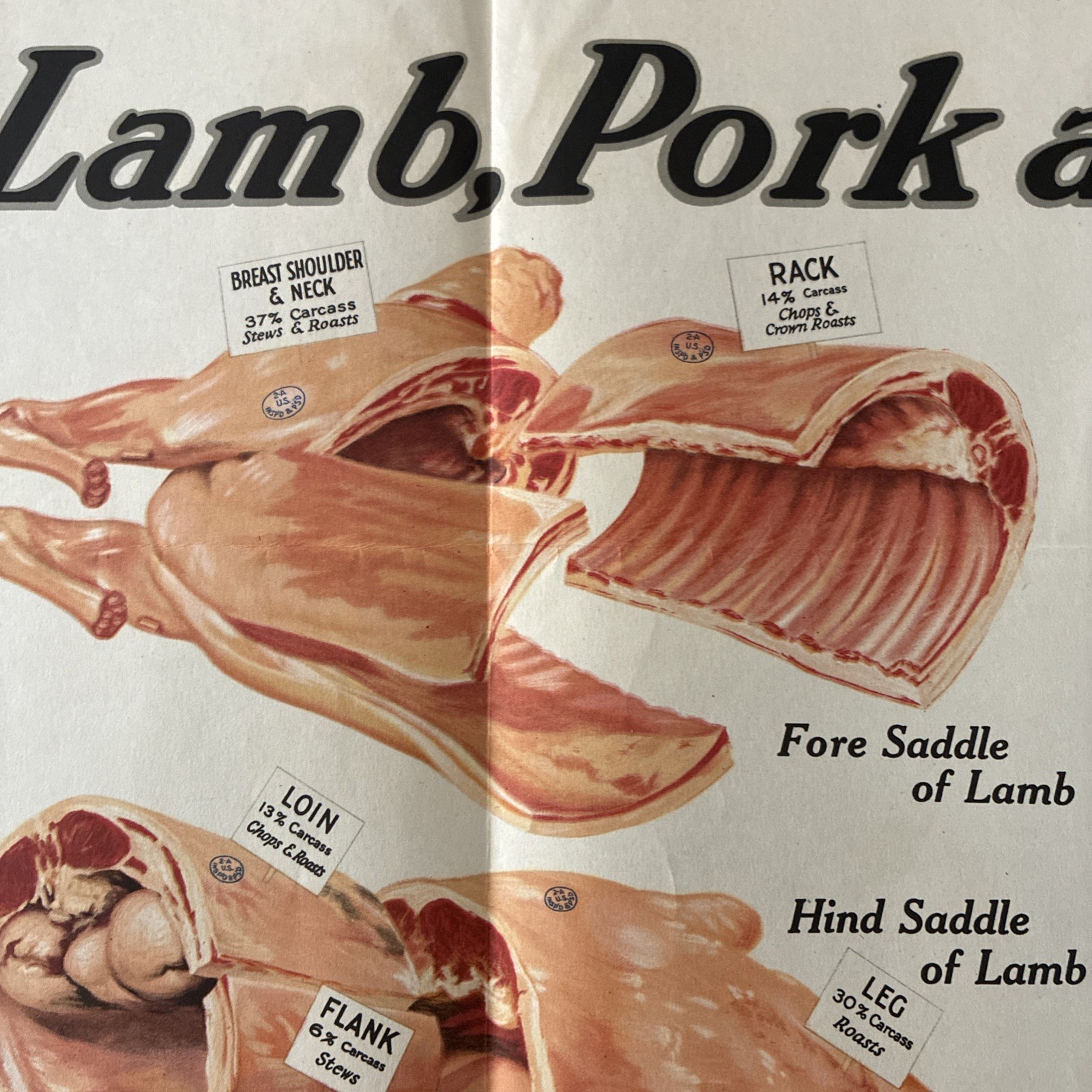 Armour’s Lamb Pork And Veal Cuts Poster 32 1/4 X 21 1/4 Late 40S To Early 50s￼