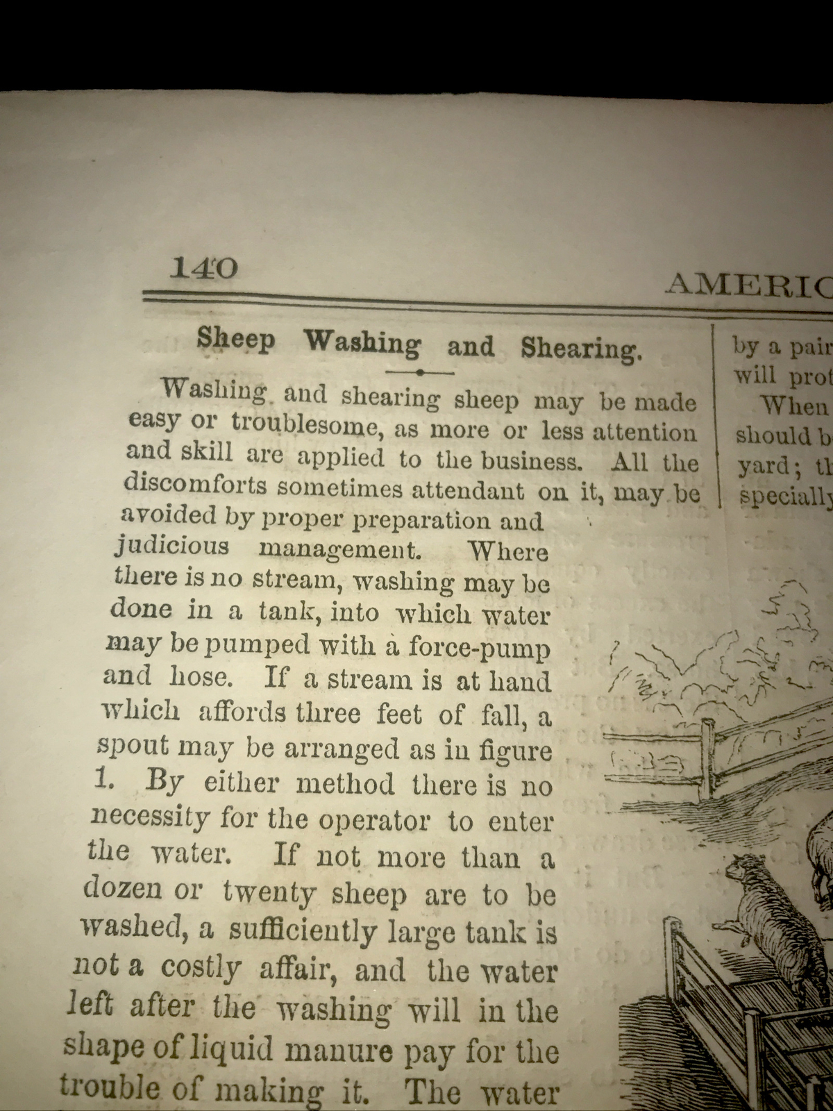 ORIGINAL 1872 Sheep & Horse Shoeing Farm Engraving Advertising & Article