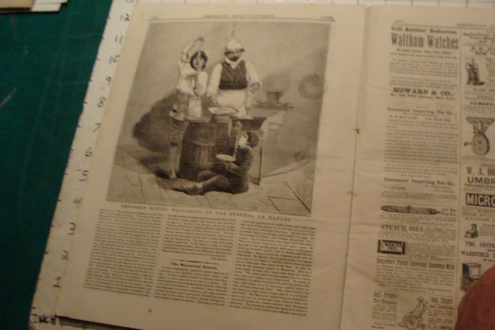 Vintage American Agriculturist 1876 august: TIGER, big puzzle, CRANDALL ADS