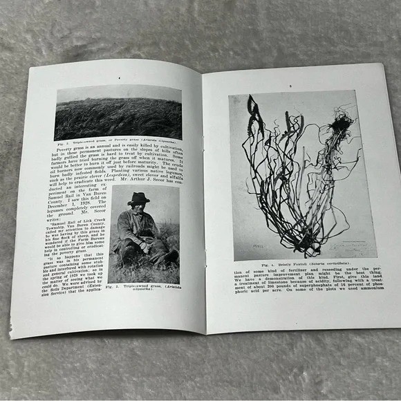 Some Weedy Grasses Injurous to Livestock 1929 Circular Iowa College of Ag CX