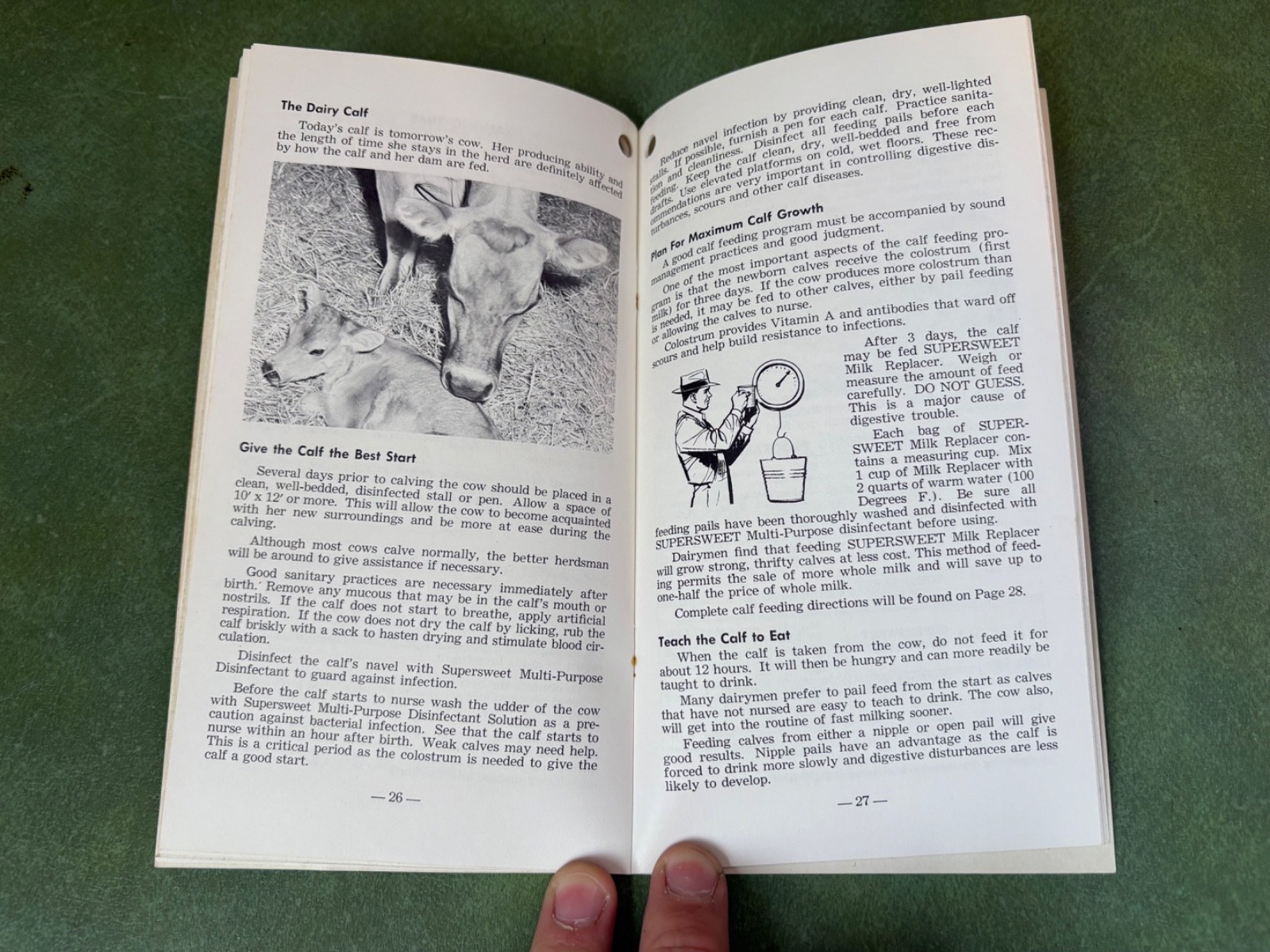 Vintage SuperSweet Dairy Cattle Feeding & Management Guide 6th Edition