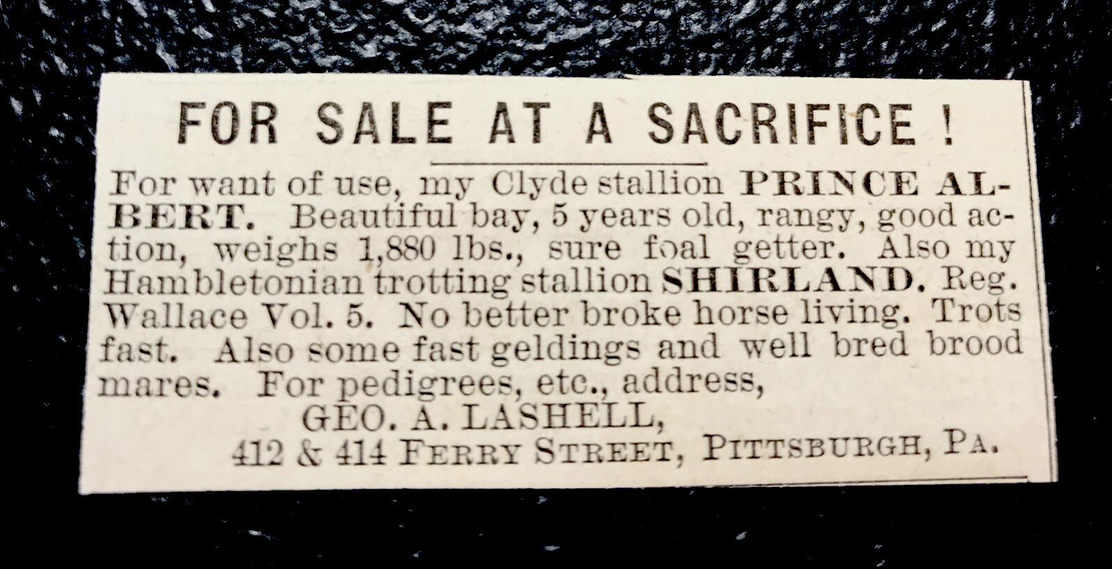 1886 Clydesdale Horse Farm Advertising – Pittsburgh – Pennsylvania