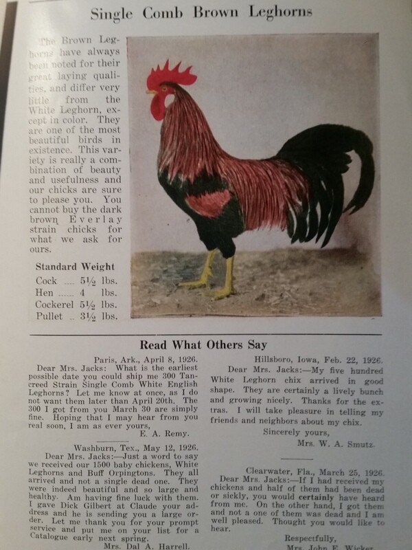 1927 Day-Old Baby Chicks Catalog Ajax Hatcheries Galesburg Quincy Illinois
