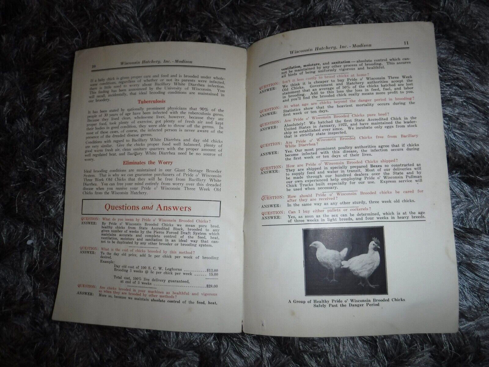CHICKS CHICKEN WISCONSIN HATCHERY INC. MADISON WISCONSIN VINTAGE 1927 BOOKLET