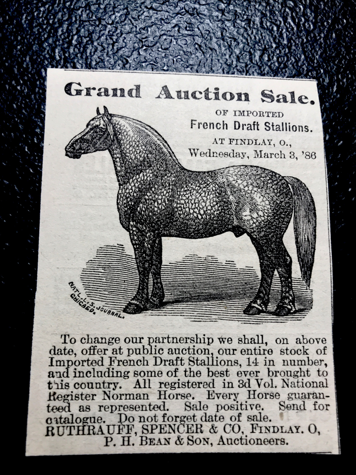 1886 Ruthrauff Spencer & Co. Horse Farm Auction Sale Advertising – Findlay Ohio