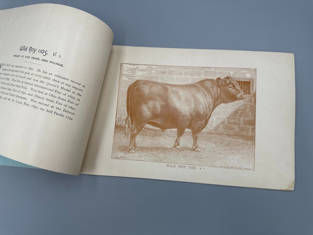 1892 RED POLLED CATTLE Farm Advertising Illustrated HERD BOOK Delaware Ohio