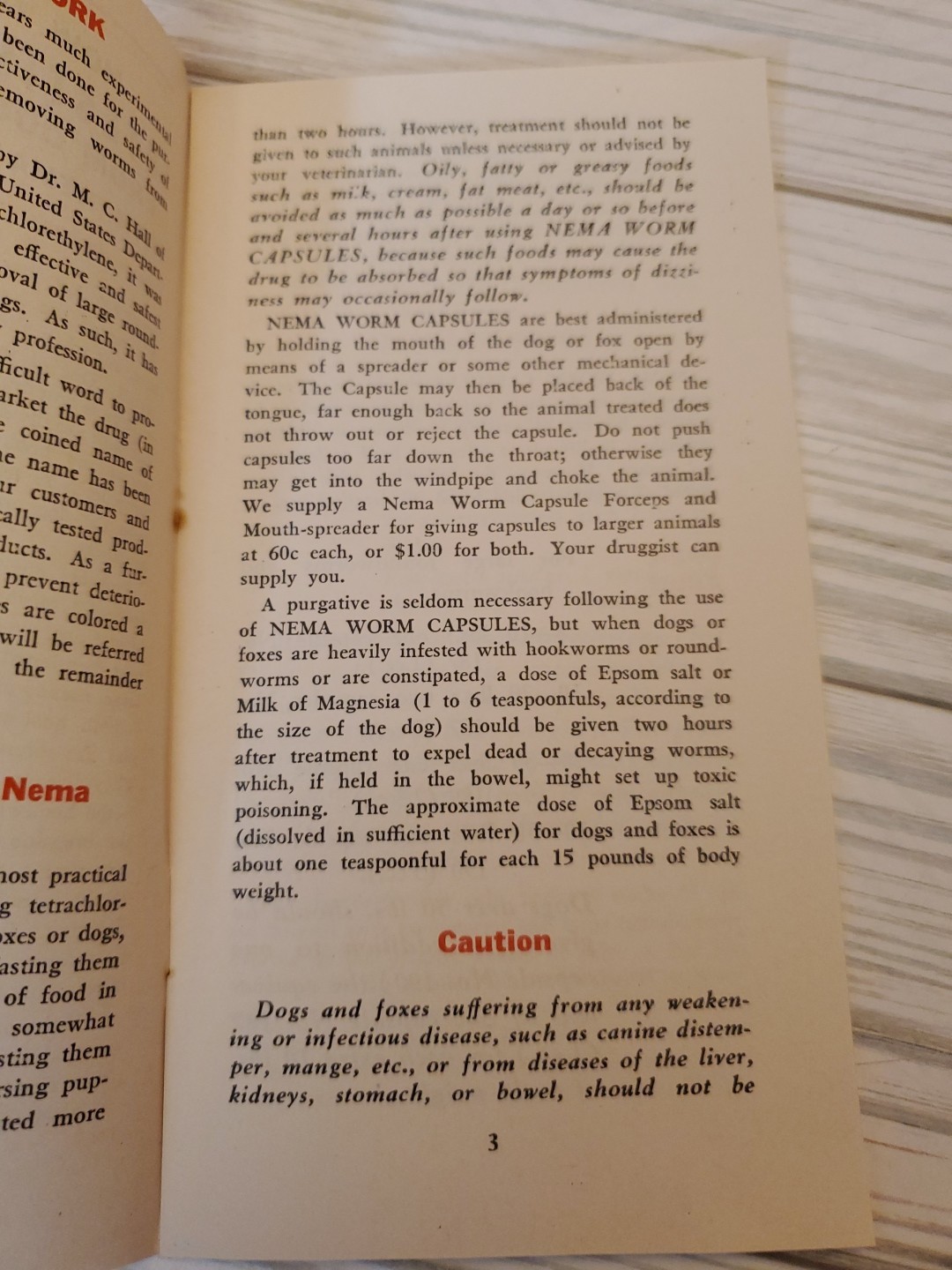 1927 NEMA Worm Capsules Prevention of Dog Diseases Parke Davis & Co. Brochure