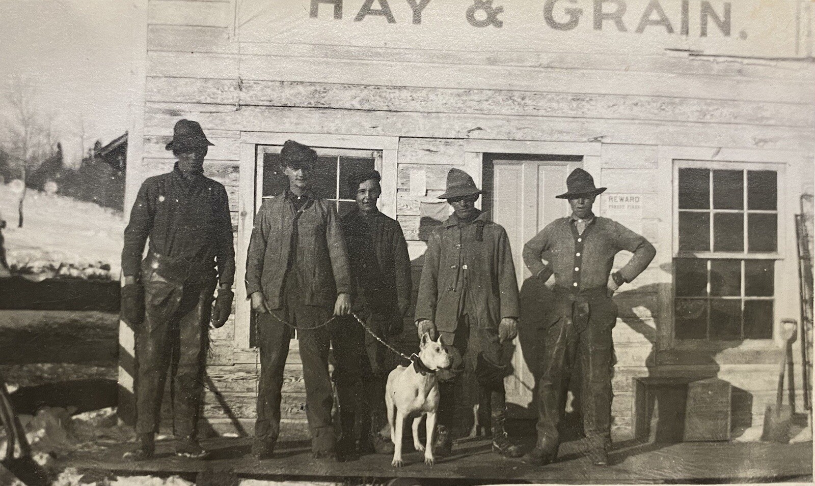 1900c **EARLY HAY & GRAIN STORE** ORIGINAL {UNUSED} REAL PHOTO POSTCARD (RPPC)!