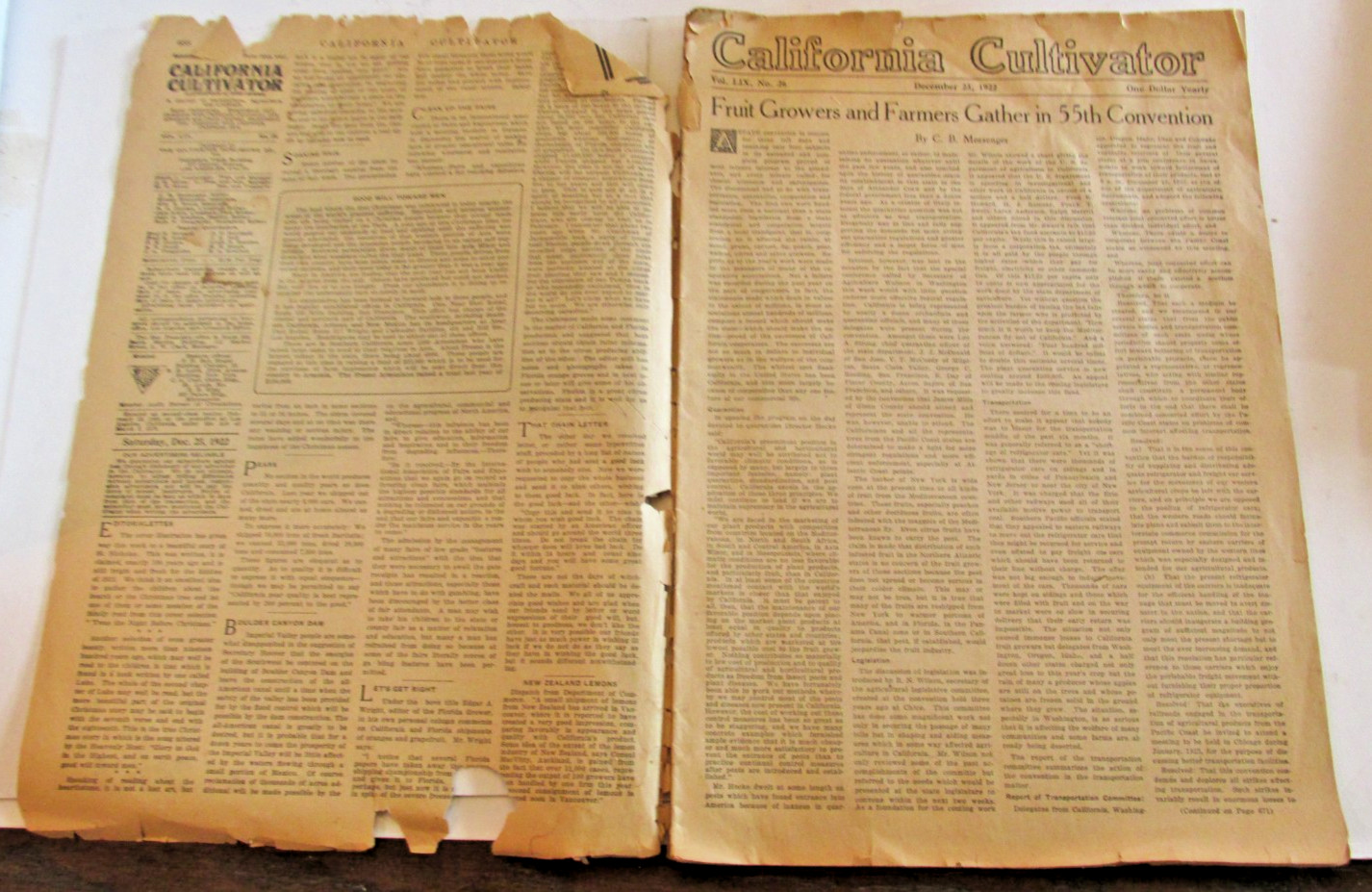 VTG 1922 California Cultivator Livestock Dairy Journal Weekly Rural Home Ranch