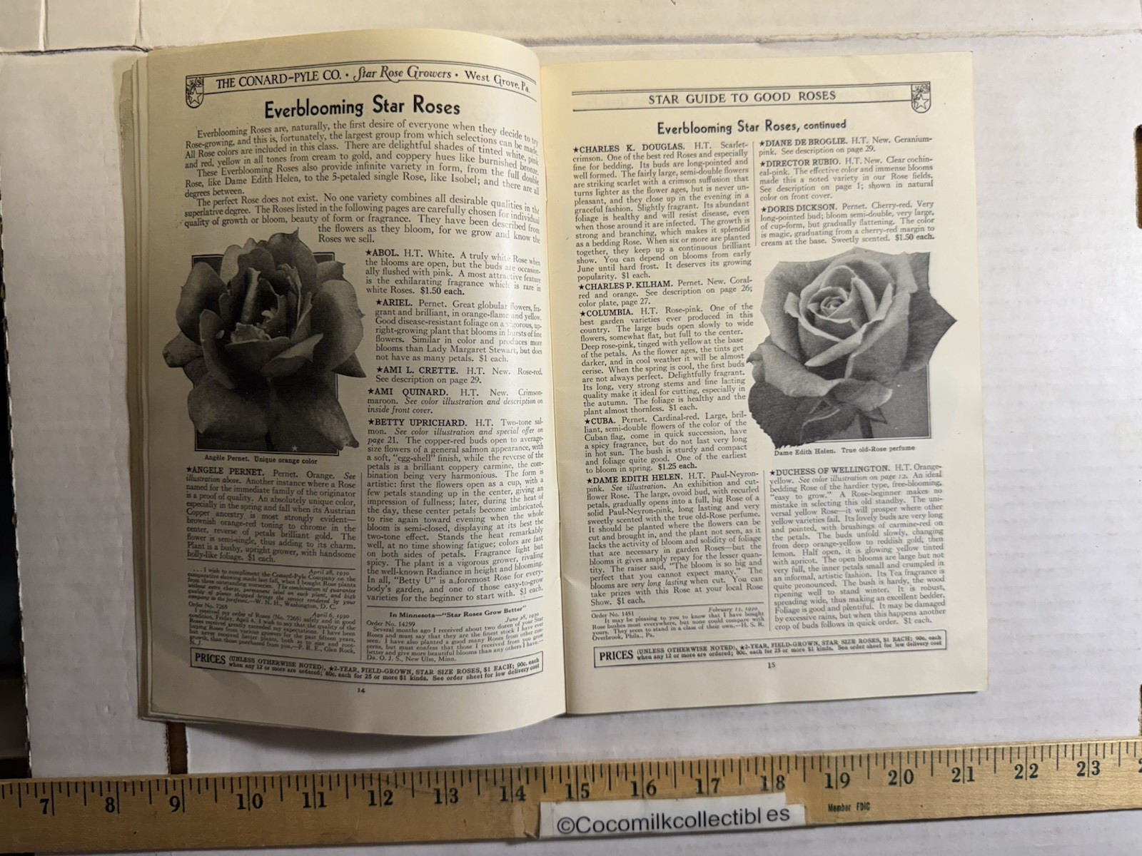 Vintage 1931 The Conard-Pyle CO Star Rose Growers Catalog West Grove PA