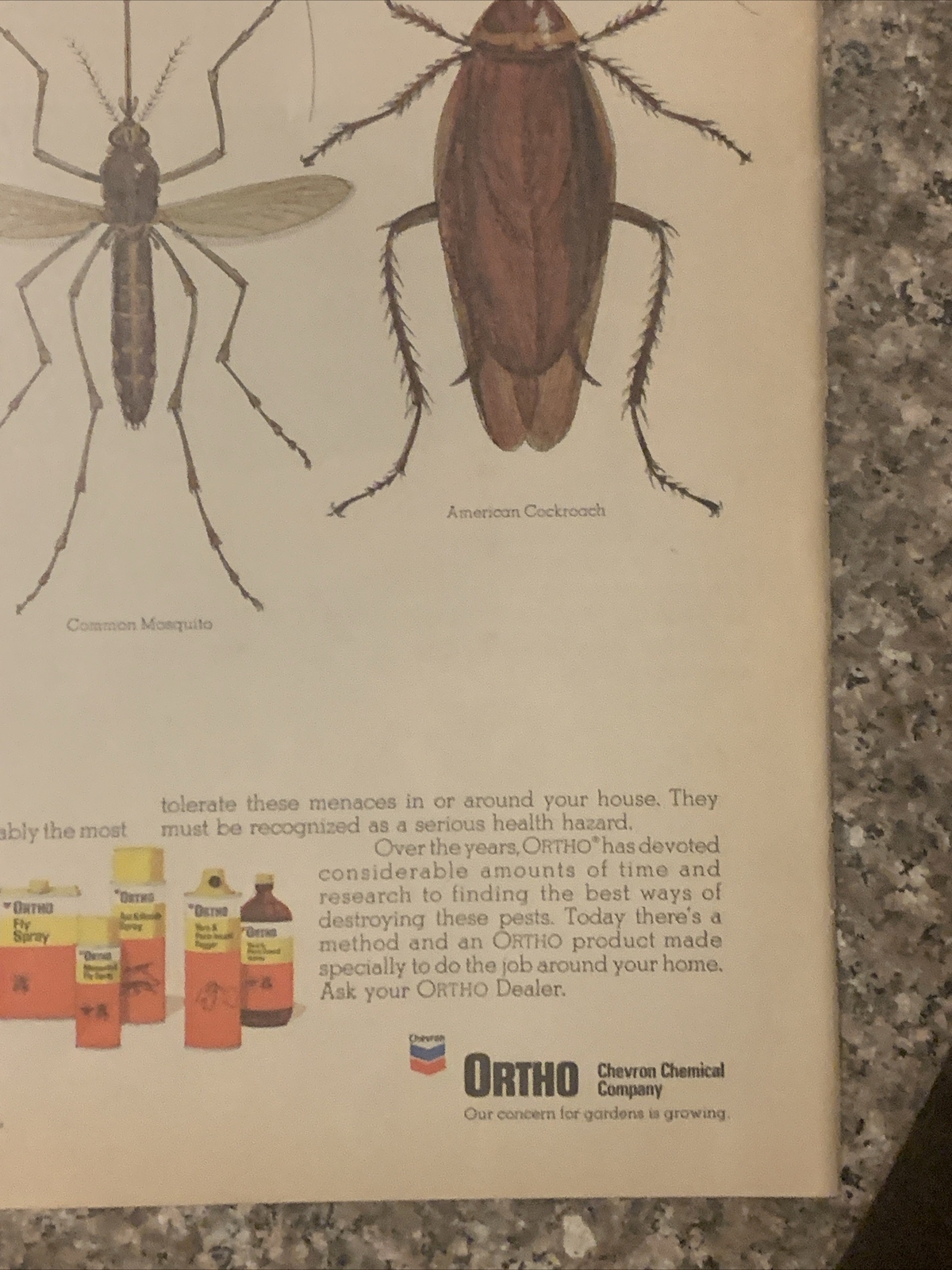 1971 Ortho Pest Control Chemicals PRINT AD House Fly Mosquito Cockroach VTG 70s