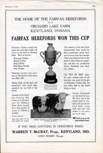 1920 ORCHARD LAKE FARM MCCRAY HEREFORD KENTLAND INDIANA CATTLE BREED AD 7003