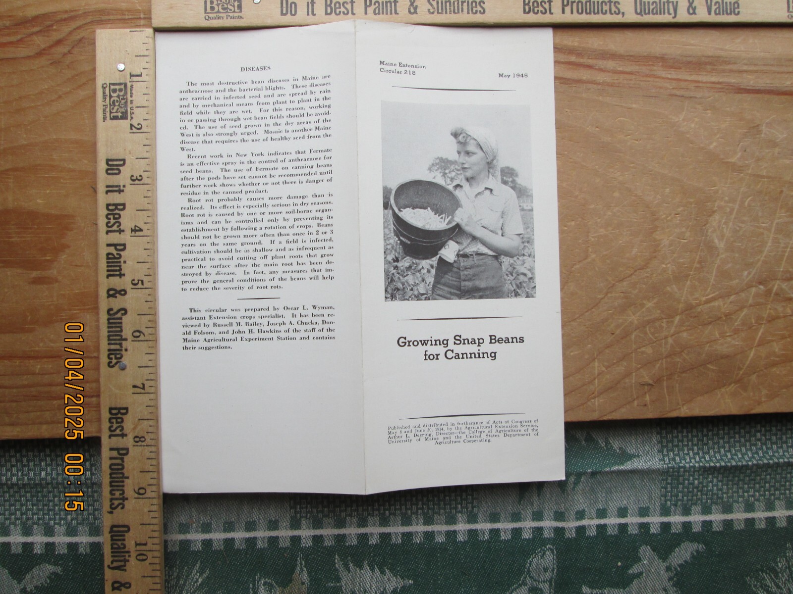 Growing snap beans for canning maine extension brochure 1945