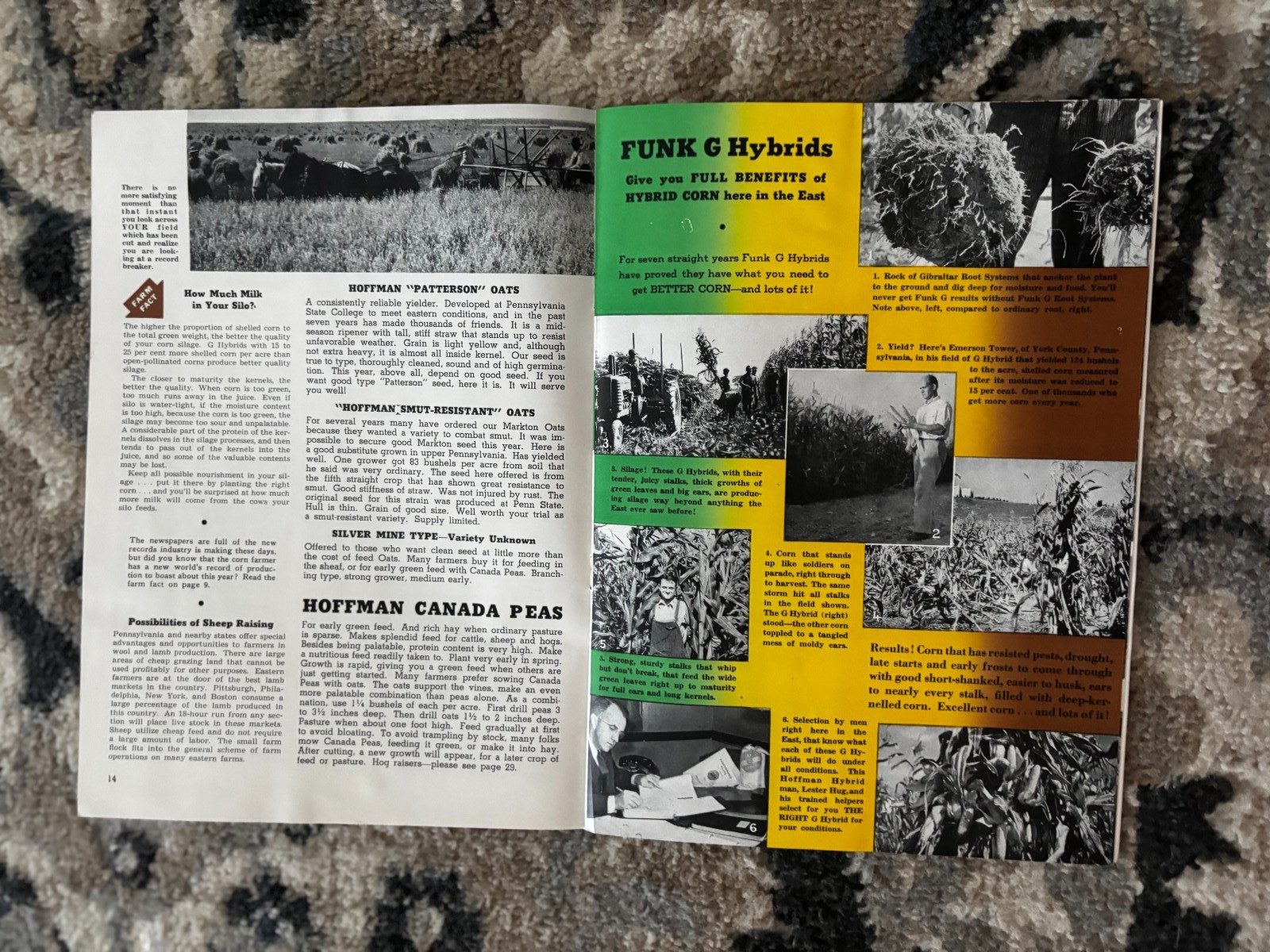 Pfister Hybrids Corn Guide For 1955 Brochure DCPA26