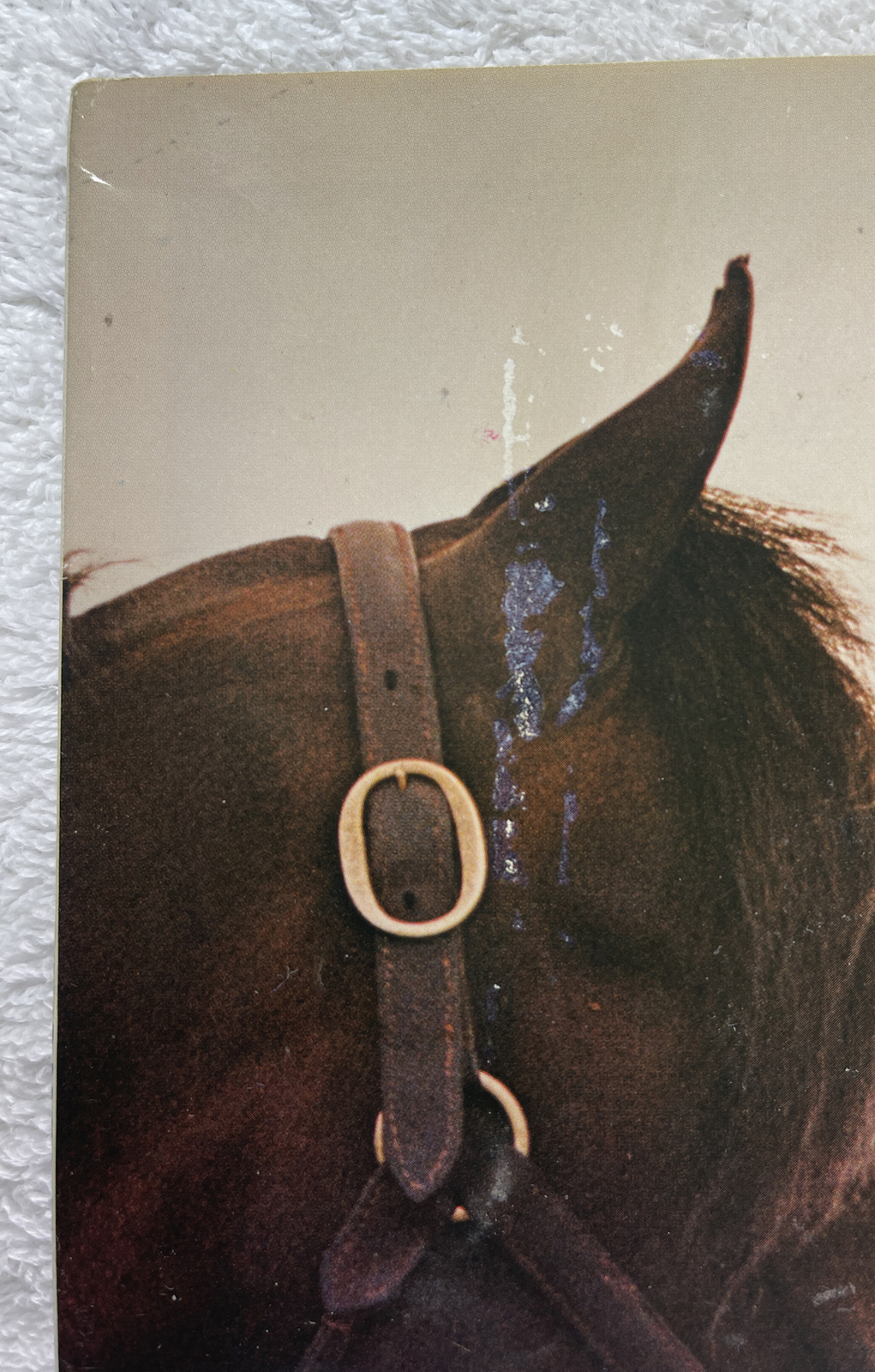 1990 World Champion Horse Equipment Catalog- 160 Pages- Saddles Spurs Bits