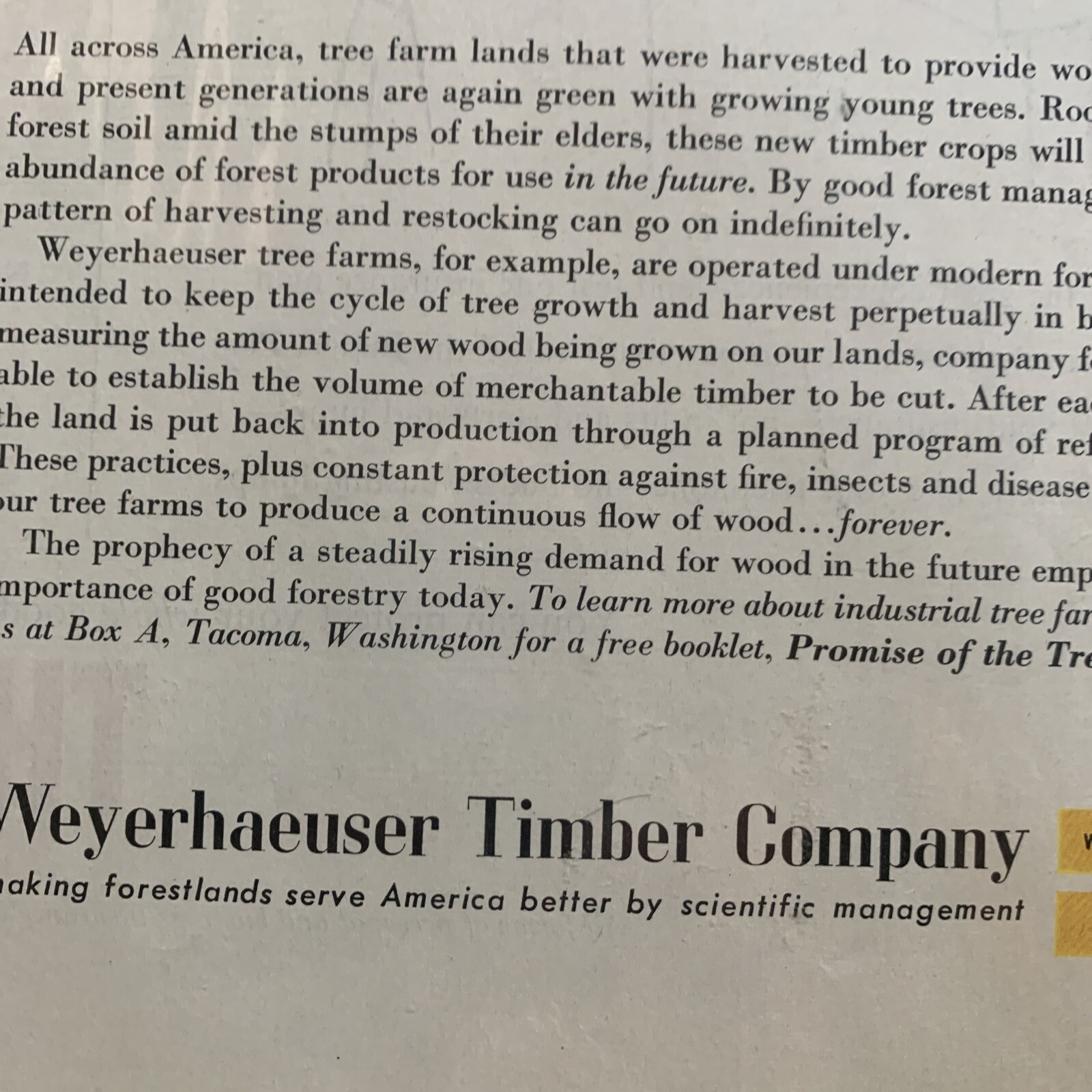 Weyerhaeuser Timber Company January 1958 Ad Homes Animals Land