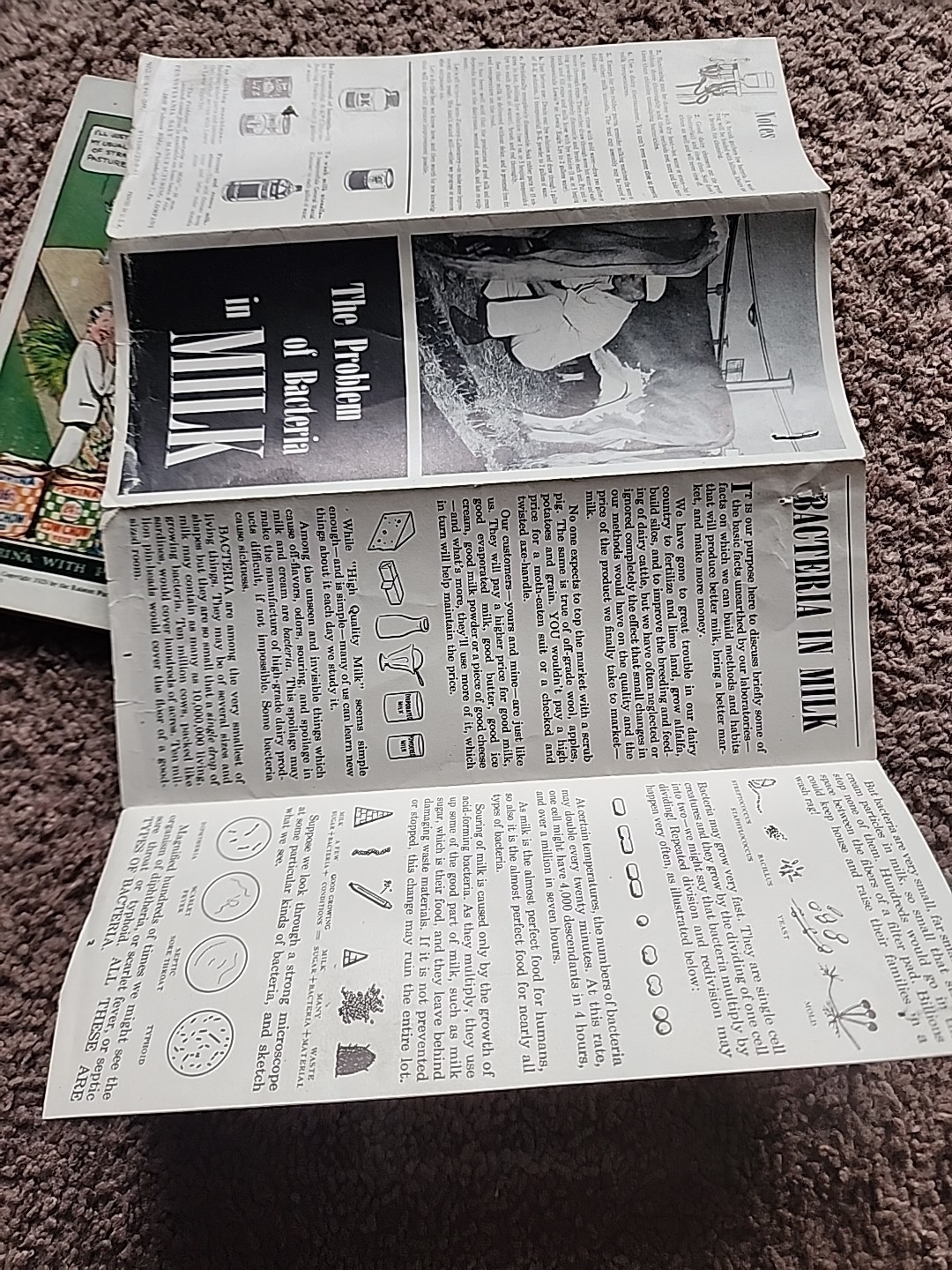 Vintage 1929 Dairy Prosperity Book By Purina And 1948 MILK Bacteria Flyer