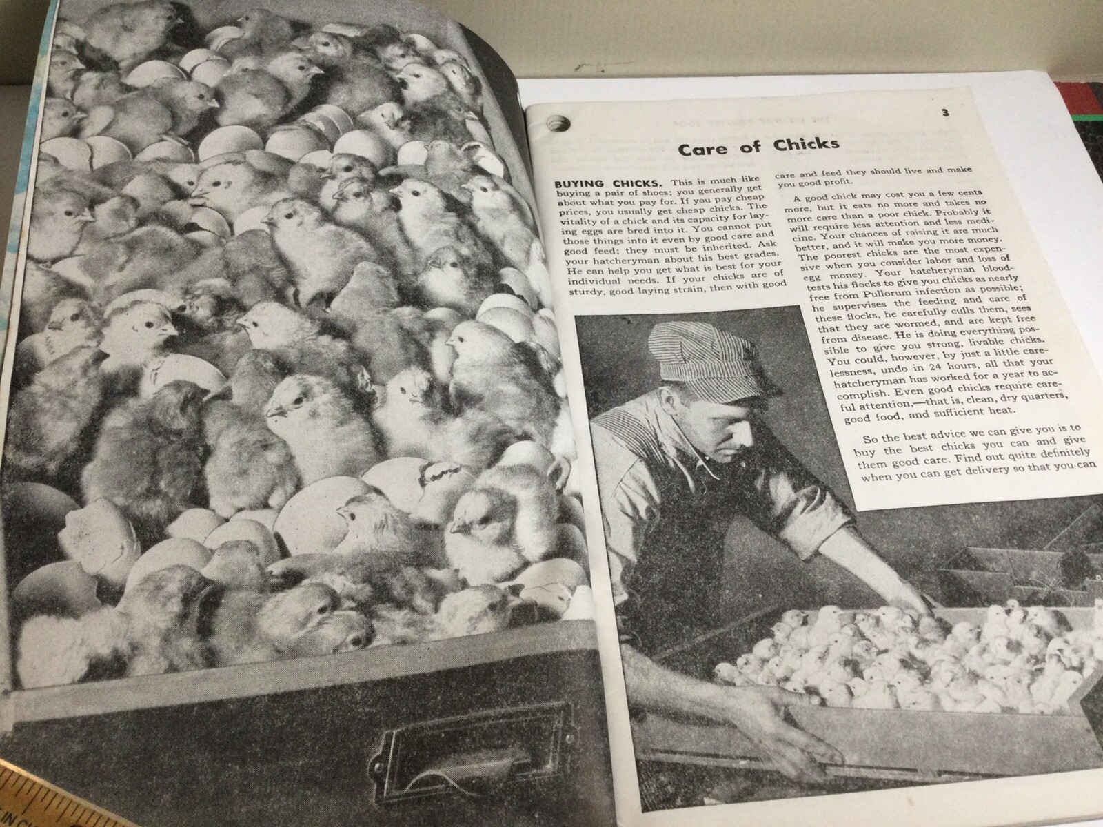 RARE 1948 “THE LEE WAY POULTRY BOOK” FARM GUIDE TO POULTRY HEALTH ILLUSTRATED