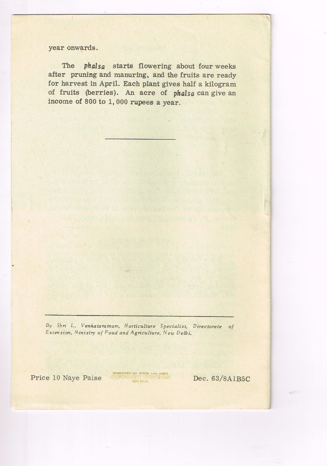 Vintage 1960s Farm Brochure India New Delhi Easy to Grow Phalsa