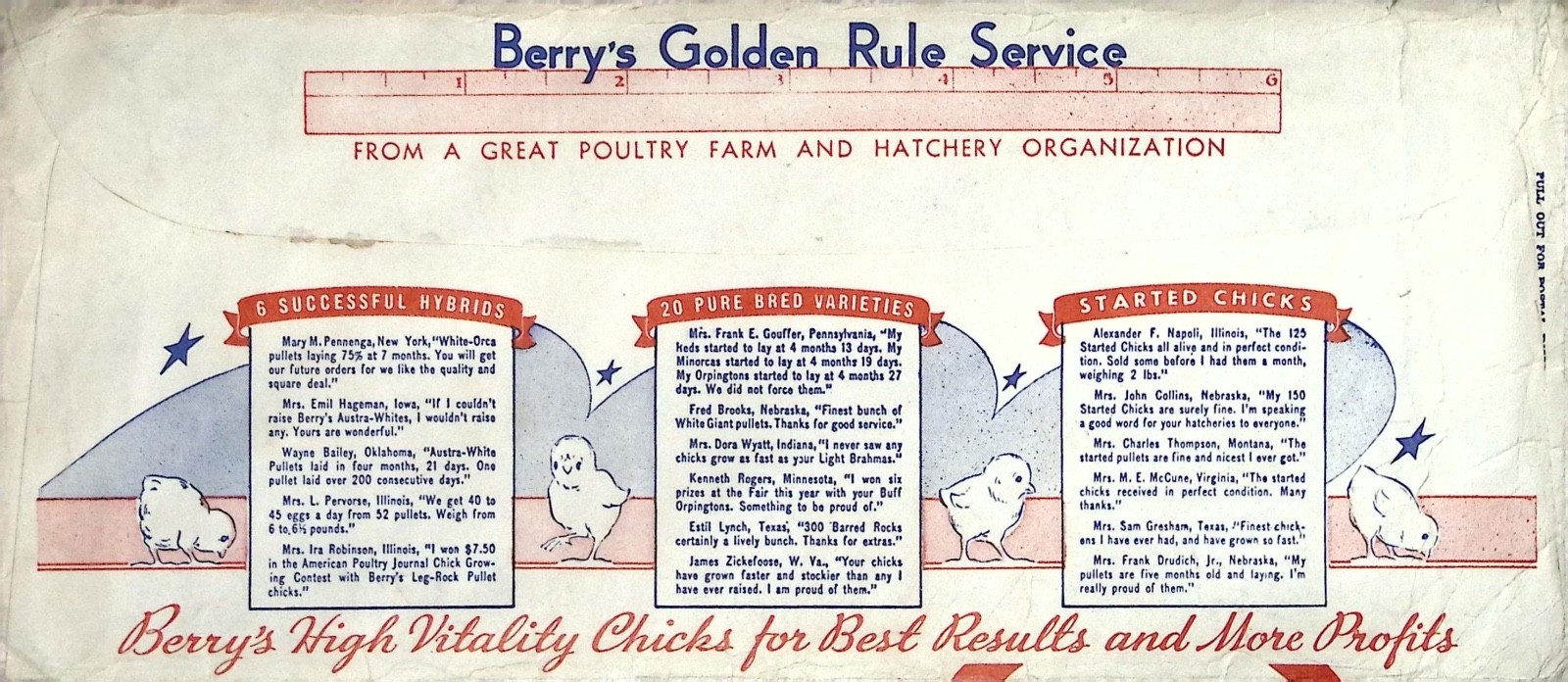 Vintage Berrys Ajax Hatchery Quincy Illinois Austra Whites Poultry Advertising