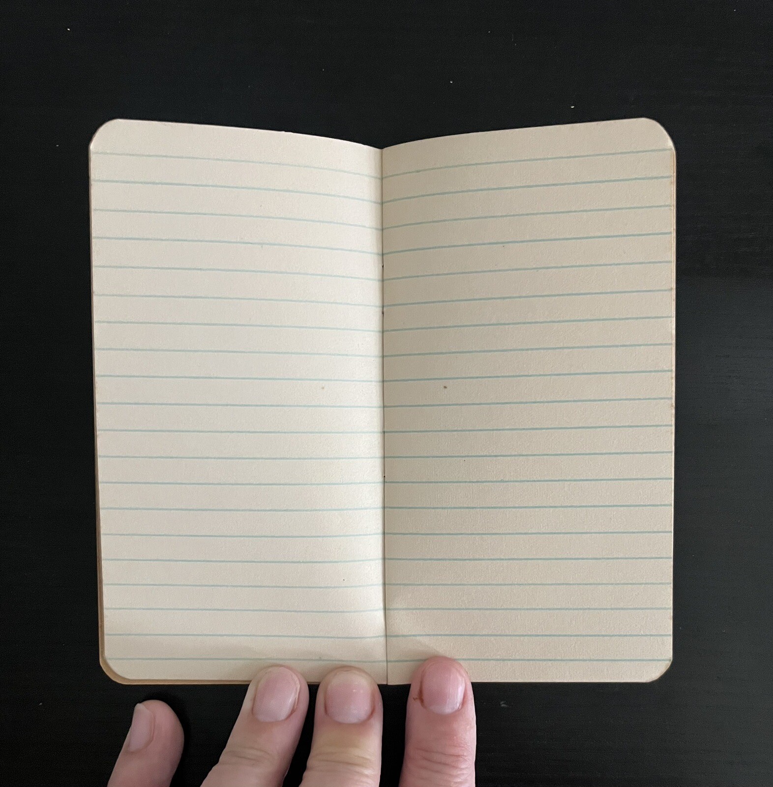Baugh&rsquo;s Animal Bone Manures Fertilizers Memo Book Vintage Unused Philadelphia