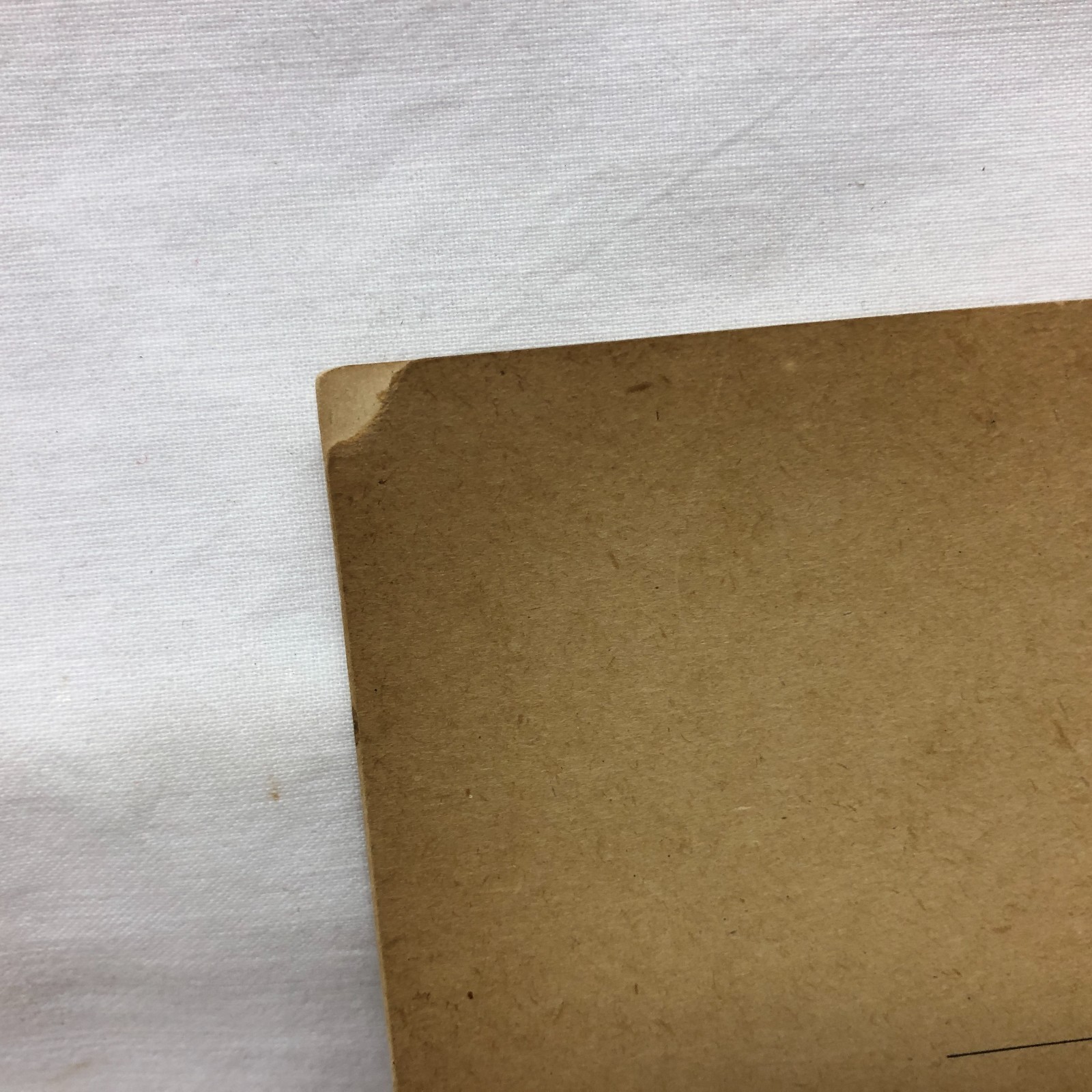 Vintage 1923 45-Duroc-45 Bred Sows Sale Booklet