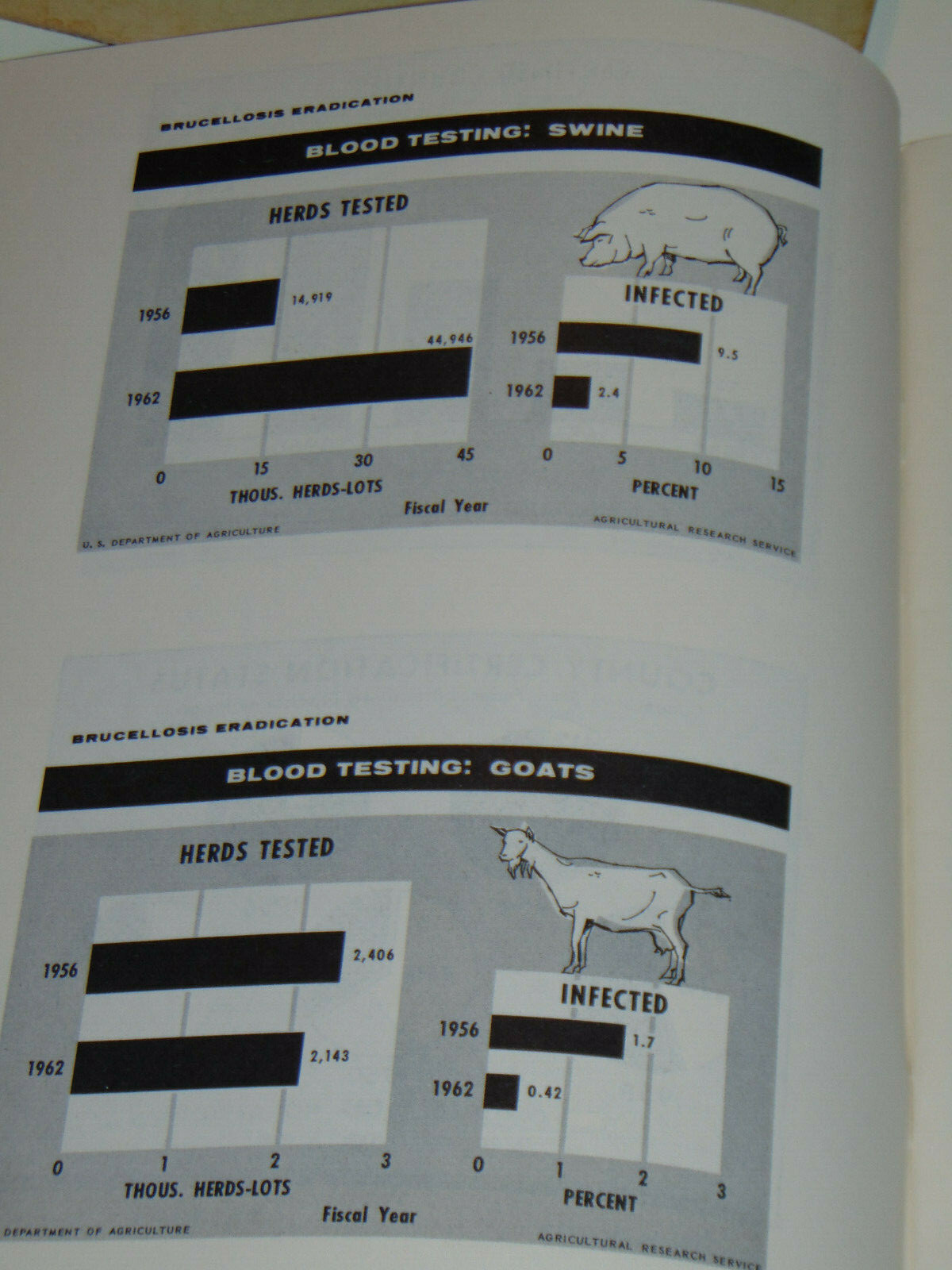 VINTAGE 1950s-60s USDA ANIMAL TUBERCULOSIS ERADICATION TB MANUAL! SMALL POSTERS!