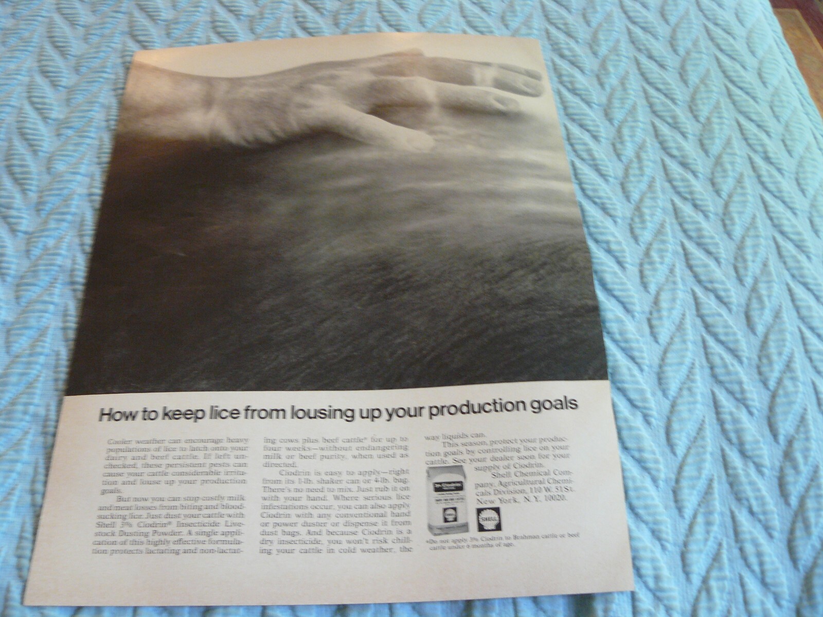 THE FARM QUARTERLY- WINTER 1968-69 – SHELL CHEMICAL COMPANY LICE INSECTICIDE